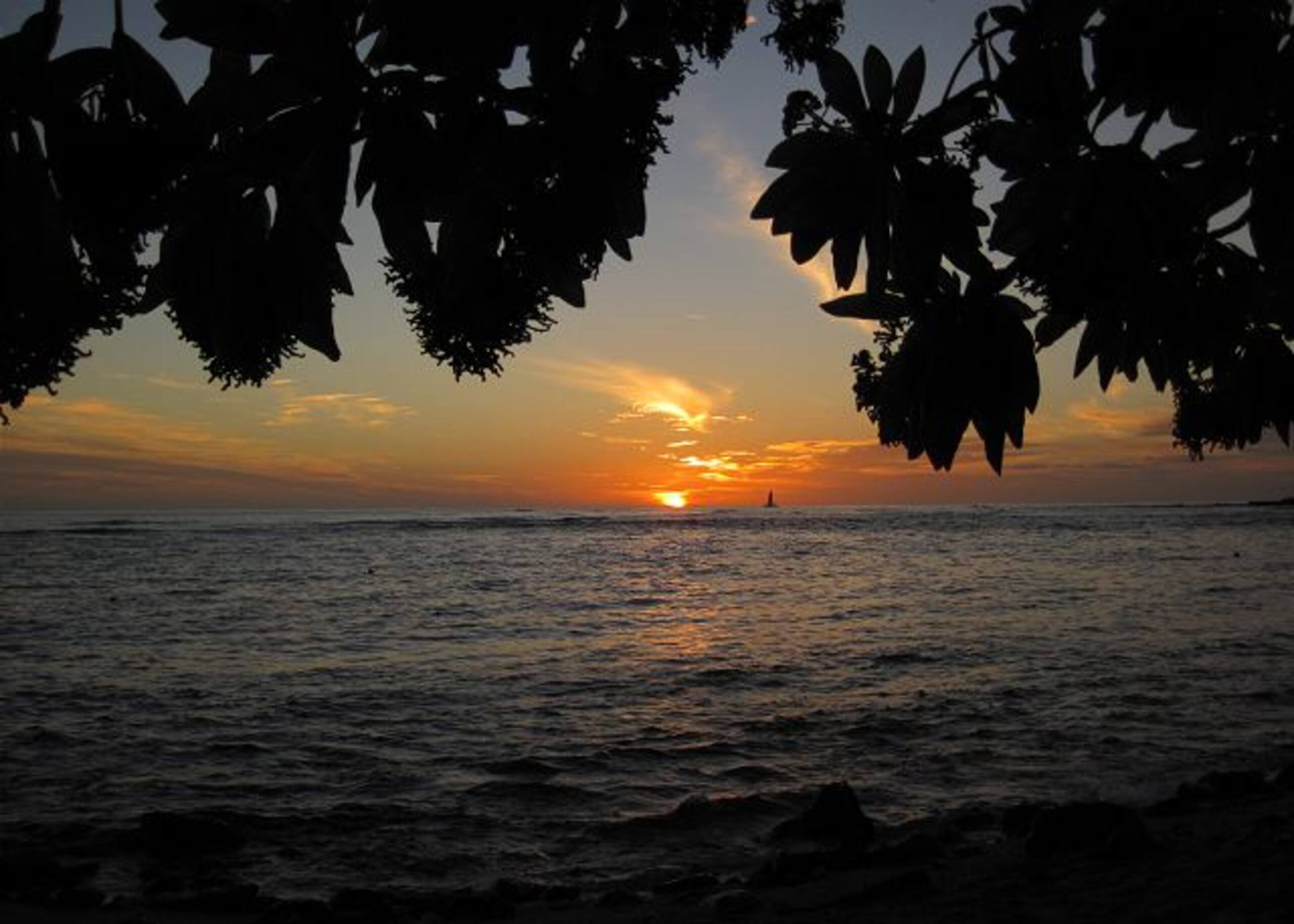 Condo in Kailua-Kona · ★5.0 · 1 bedroom · 1 bed · 1 bath - Image 30