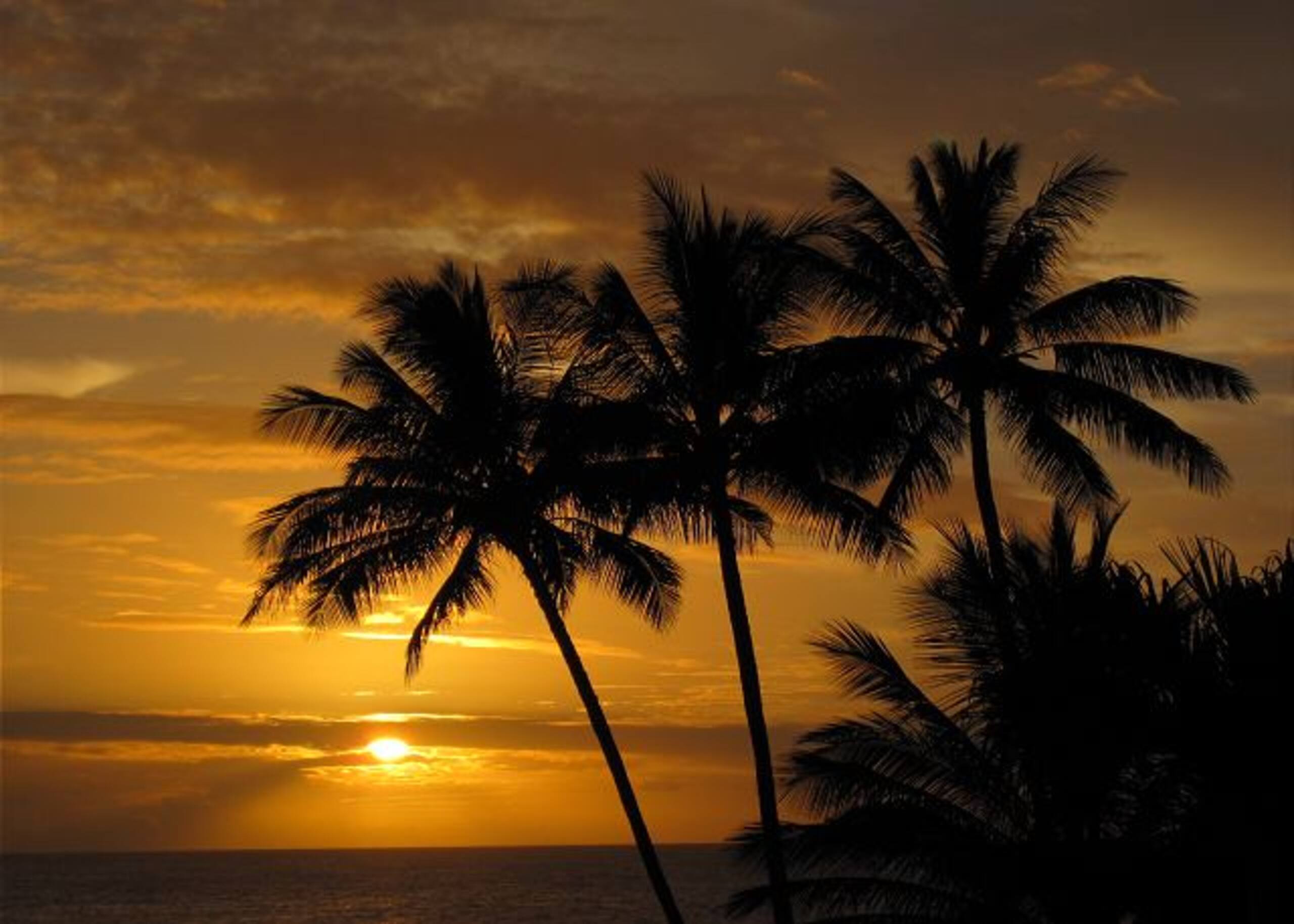 Condo in Kailua-Kona · ★5.0 · 1 bedroom · 1 bed · 1 bath - Image 27