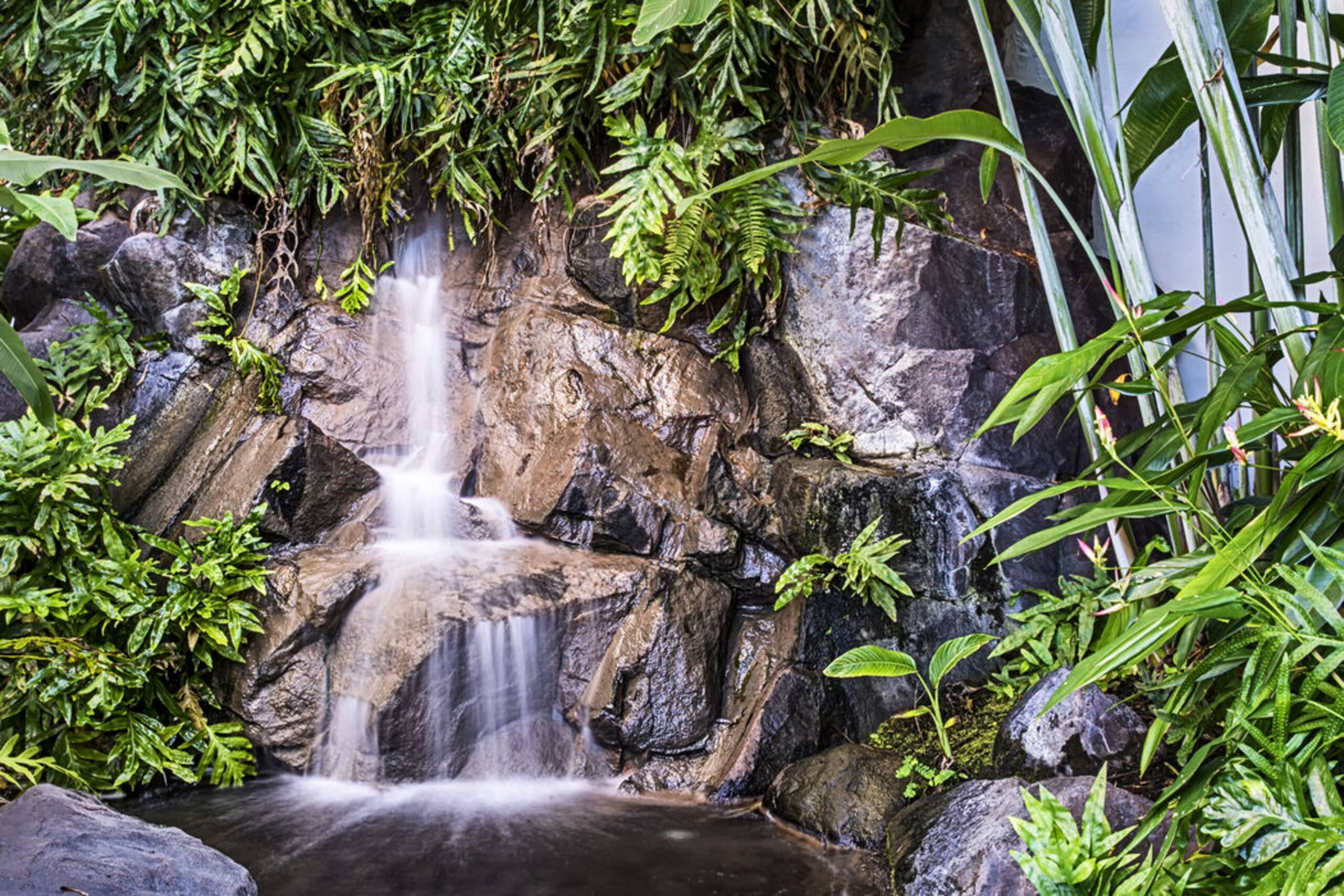 Villa in Kailua-Kona · ★5.0 · 2 bedrooms · 3 beds · 2.5 baths - Image 28