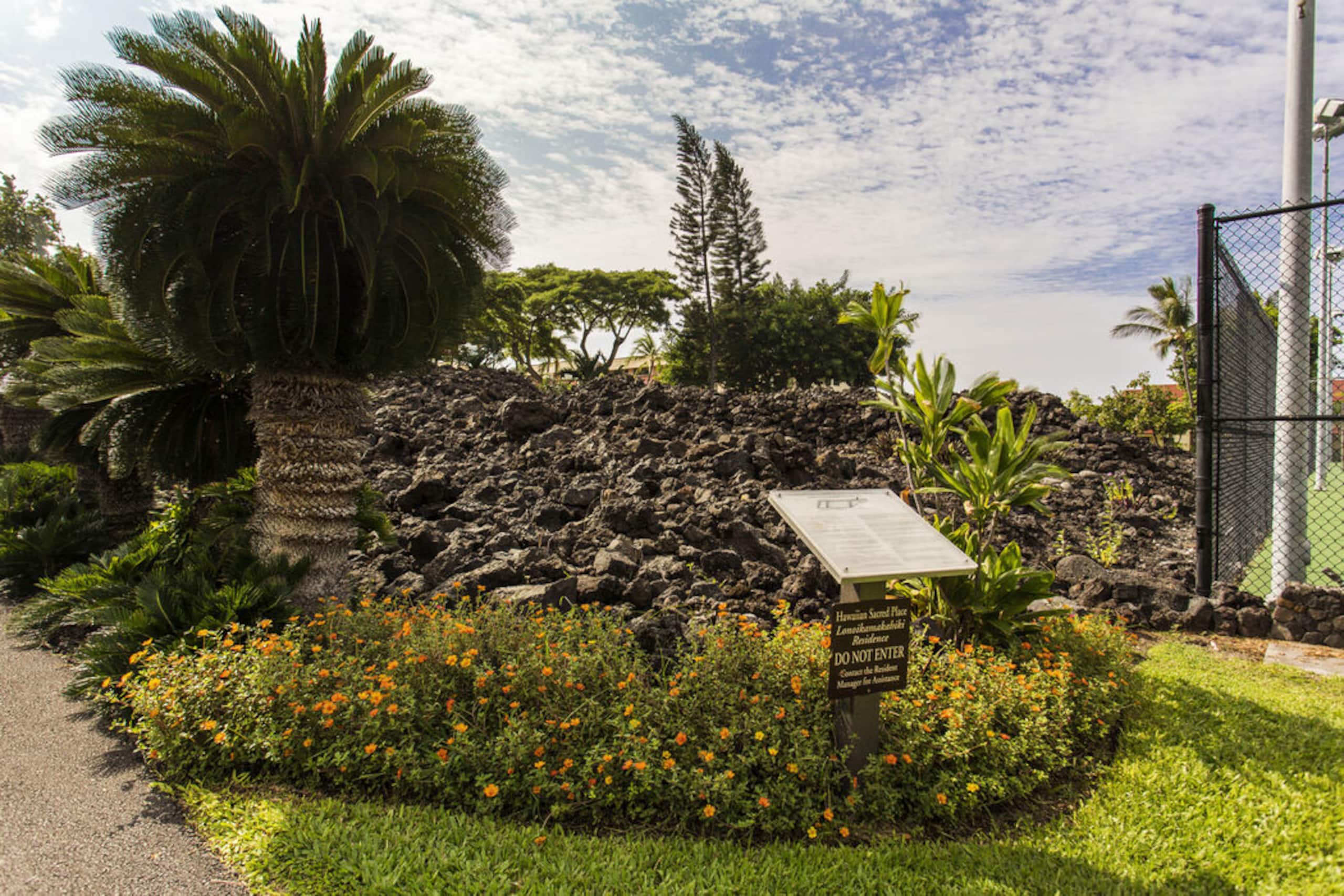 Condo in Kailua-Kona · ★4.88 · 2 bedrooms · 2 beds · 2 baths - Image 25