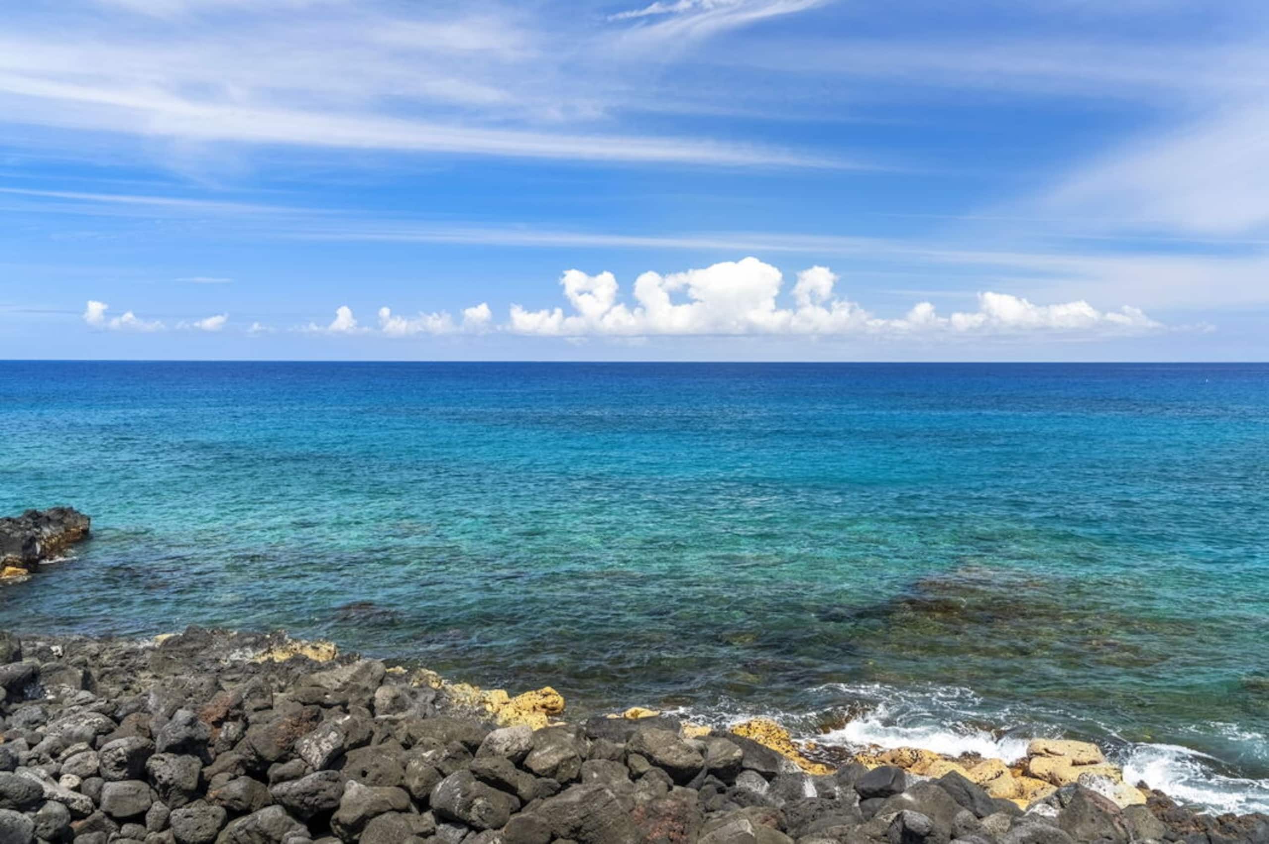 Condo in Kailua-Kona · ★4.88 · 1 bedroom · 2 beds · 1 private bath - Image 31