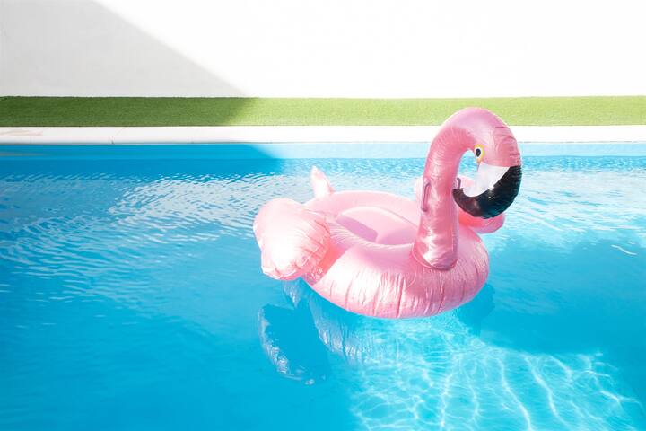 Praceta Porthaus – entire private main home gallery image 3