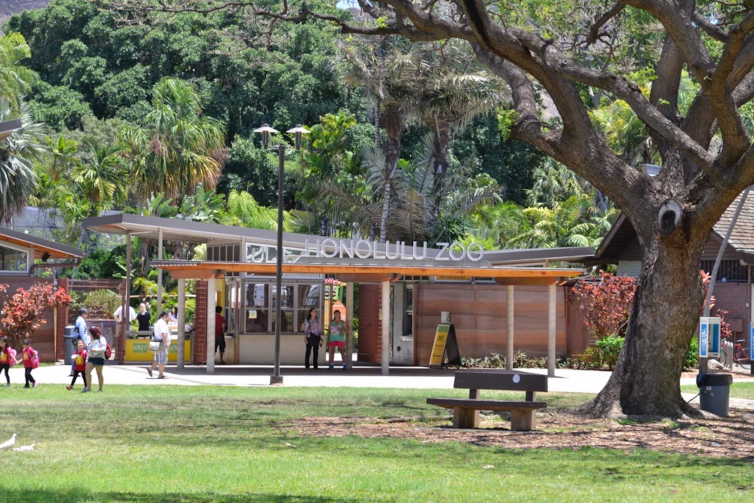 Condo in Honolulu · ★4.75 · 1 bedroom · 2 beds · 1 shared bath - Image 19