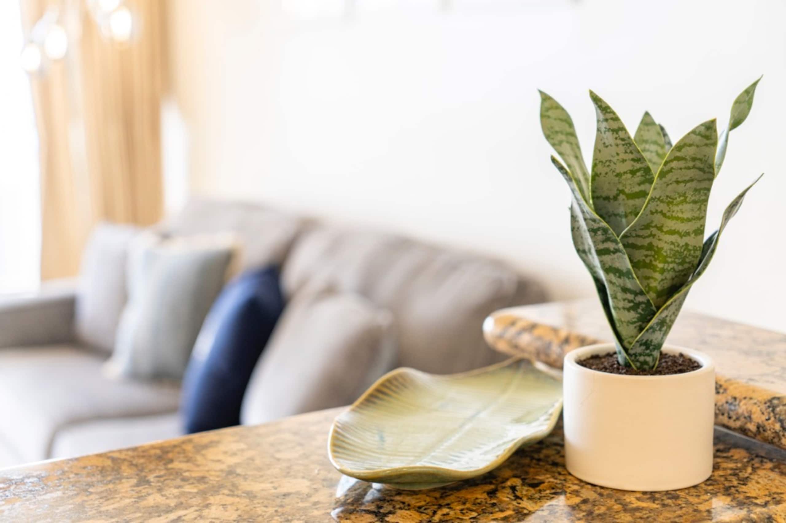 Condo in Honolulu · ★4.75 · 1 bedroom · 2 beds · 1 shared bath - Image 24