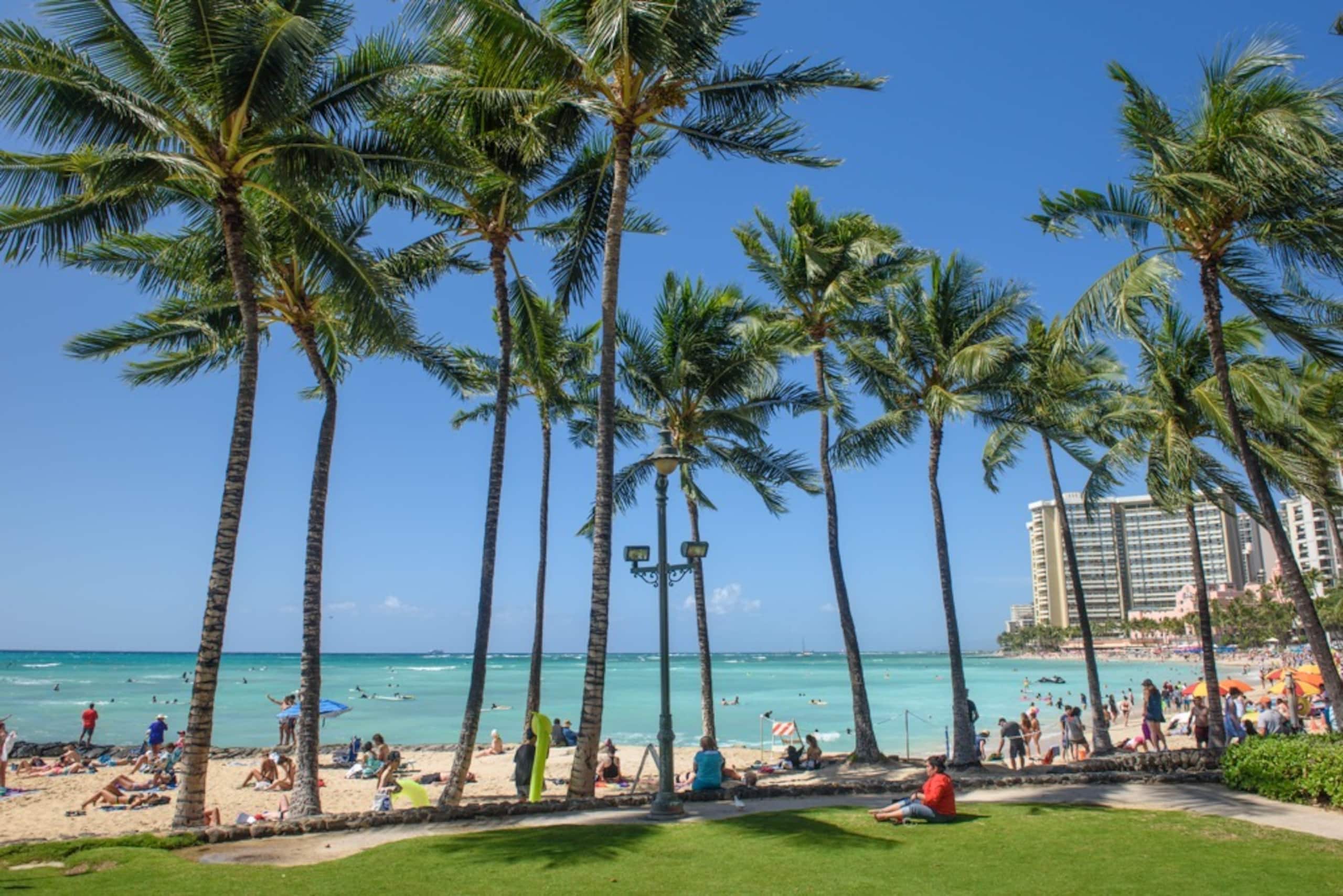 Condo in Honolulu · ★4.75 · 1 bedroom · 2 beds · 1 shared bath - Image 18