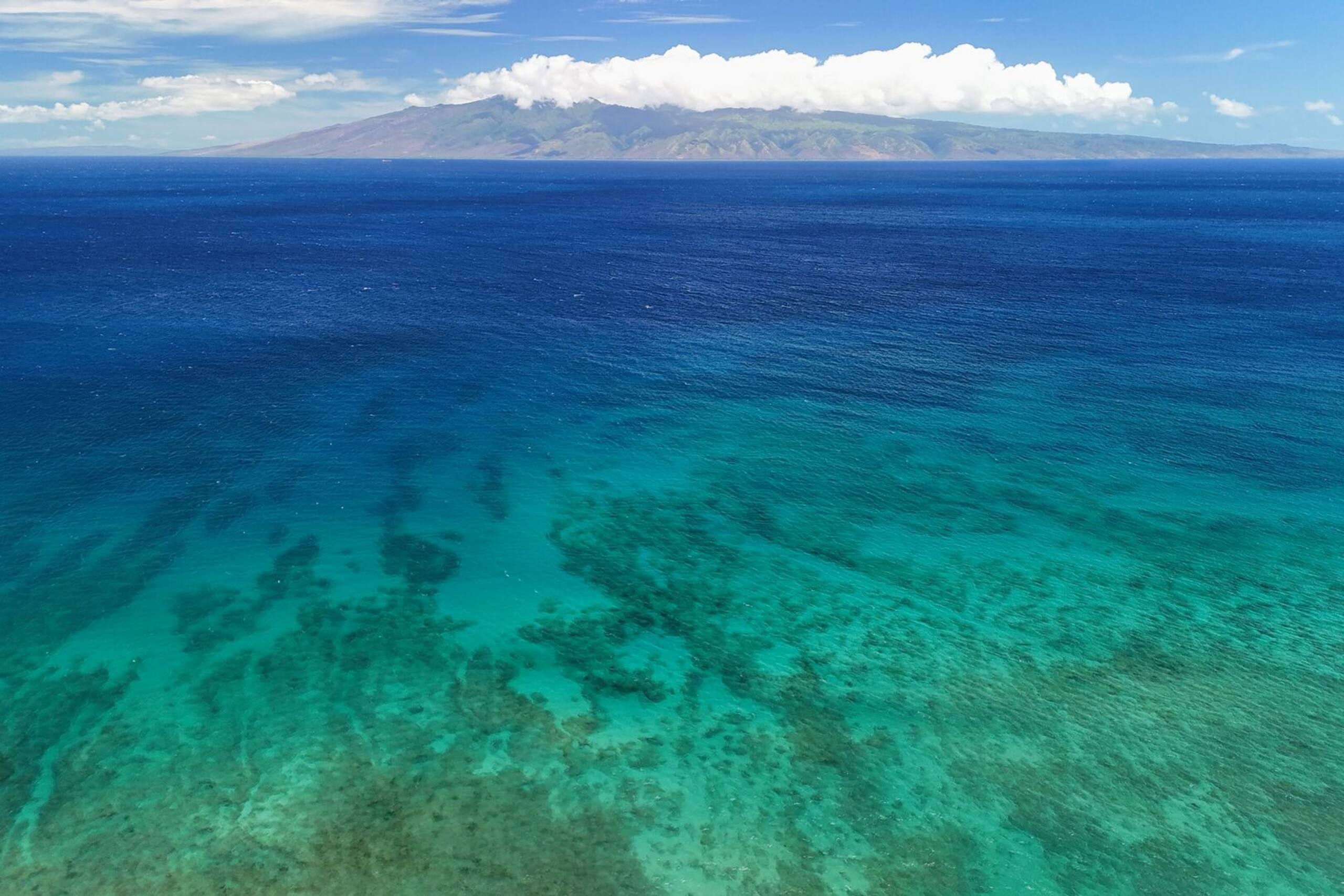 Condo in Lahaina · ★4.43 · 1 bedroom · 2 beds · 1 bath - Image 40