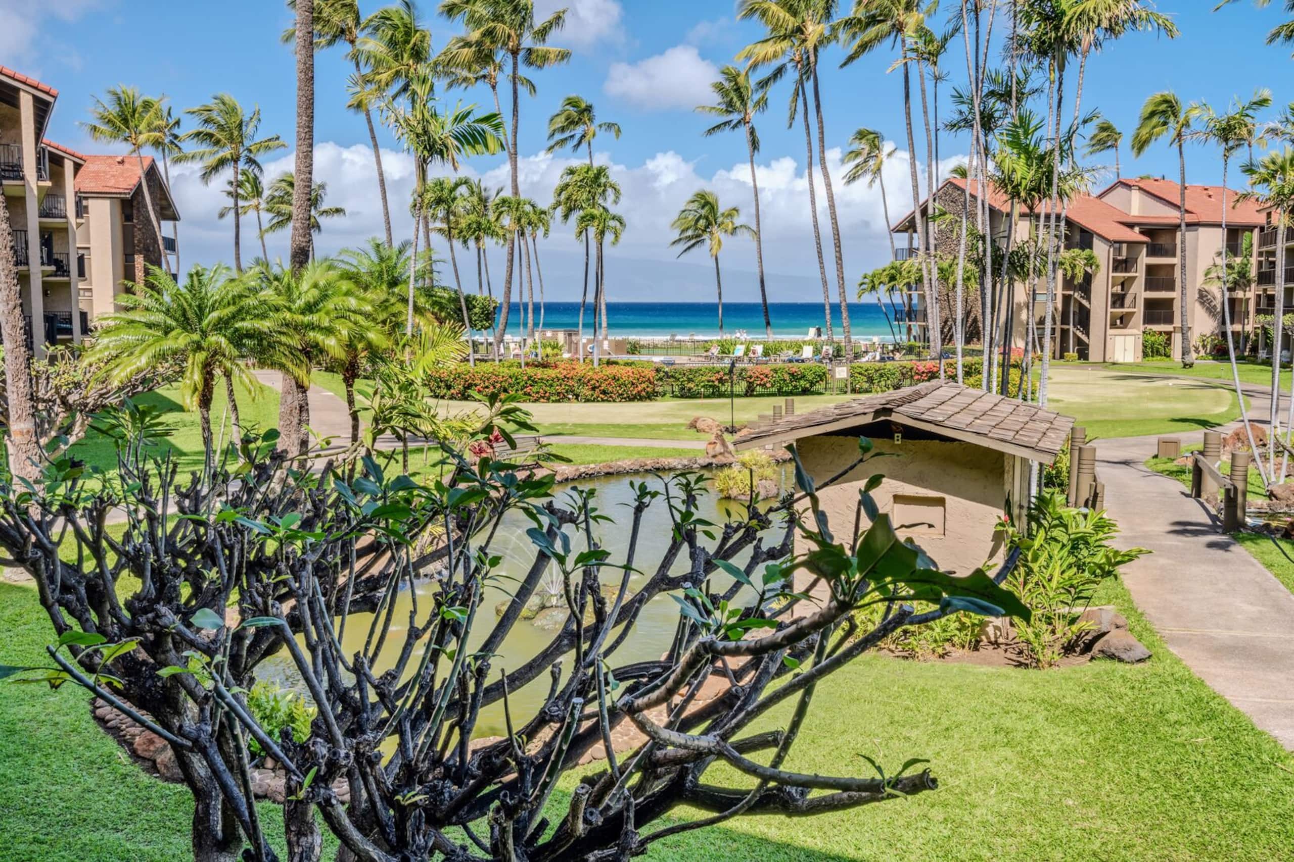 Condo in Lahaina · ★4.43 · 1 bedroom · 2 beds · 1 bath - Image 31