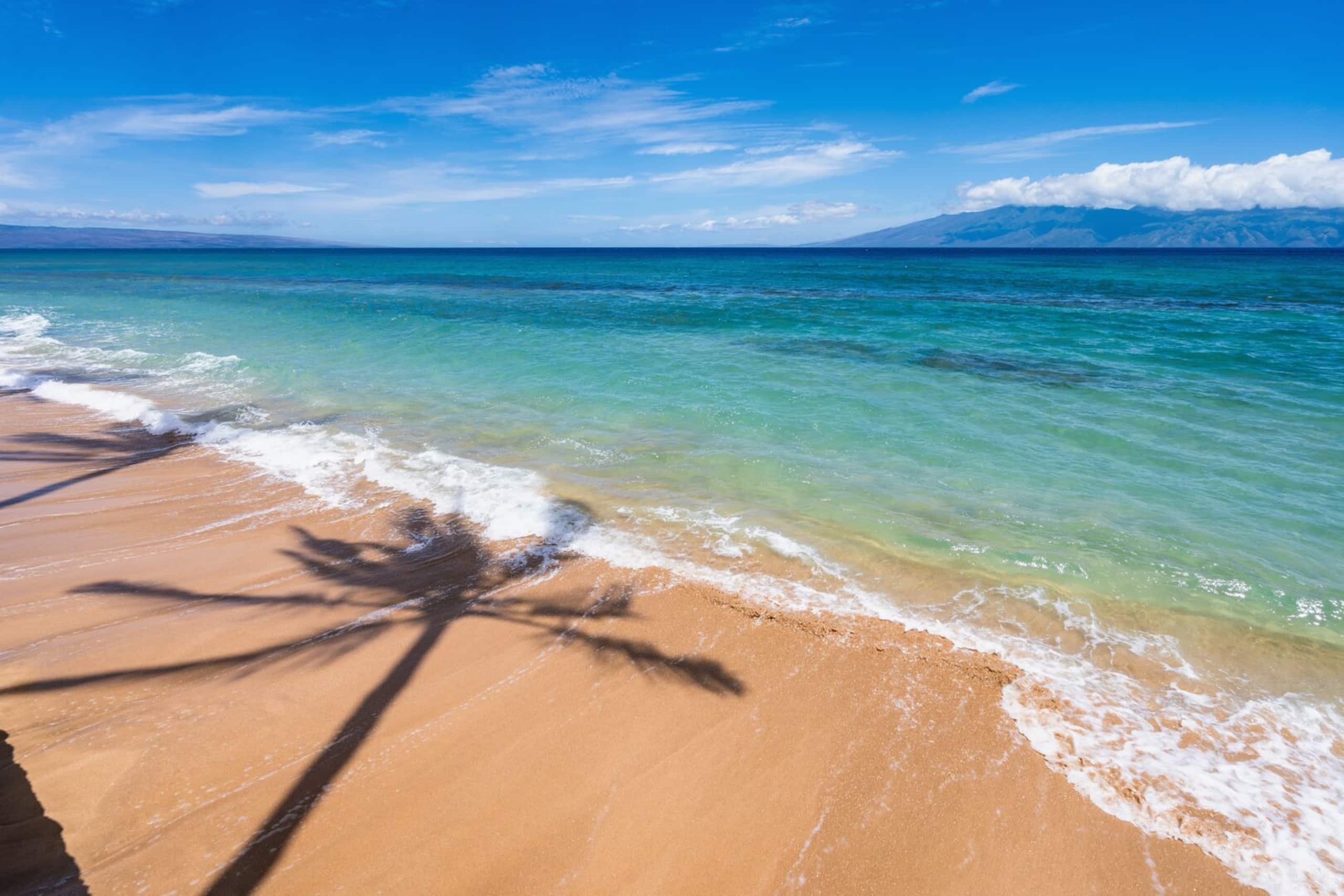 Condo in Lahaina · ★4.43 · 1 bedroom · 2 beds · 1 bath - Image 41