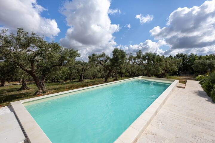 WePuglia – Tenuta Mastricale gallery image 4