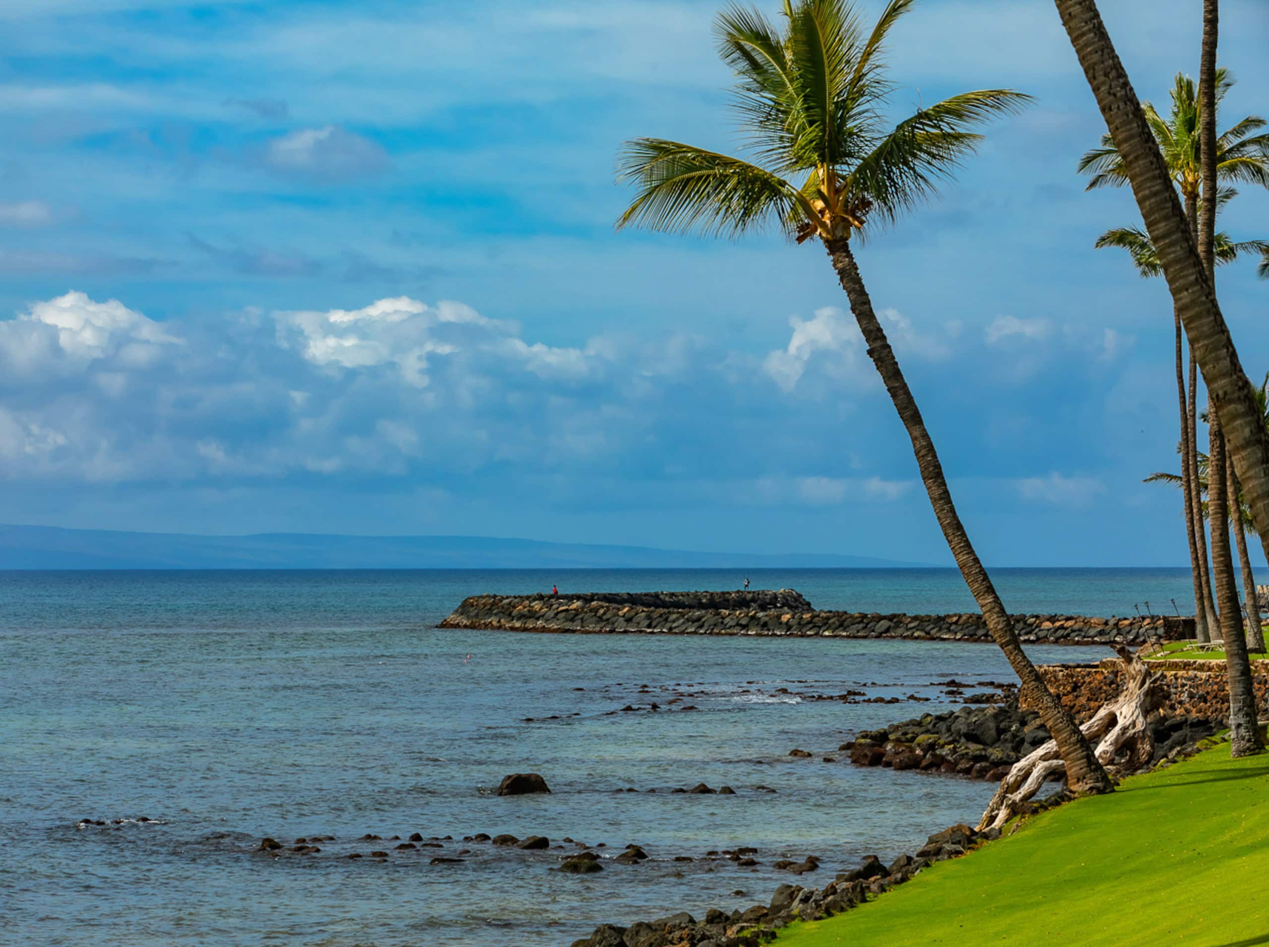 Condo in Wailuku · ★4.9 · 2 bedrooms · 4 beds · 2 shared baths - Image 52