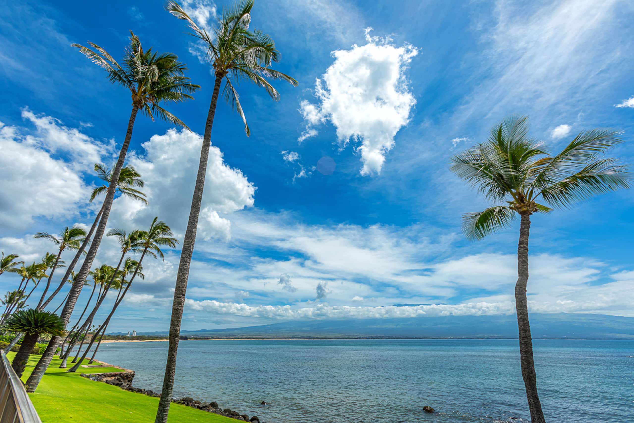 Condo in Wailuku · ★4.9 · 2 bedrooms · 4 beds · 2 shared baths - Image 41