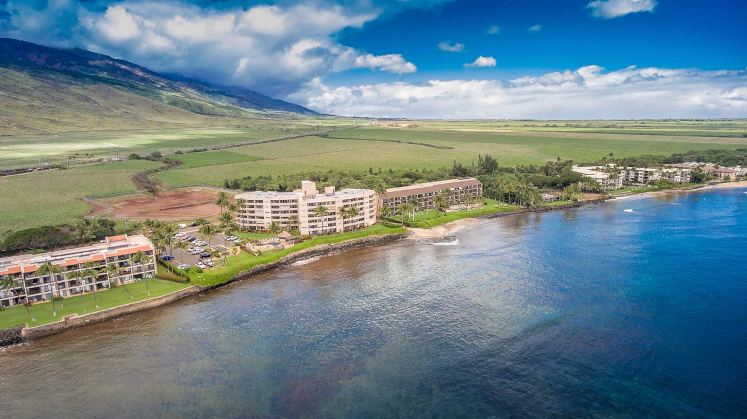 Condo in Wailuku · ★4.9 · 2 bedrooms · 4 beds · 2 shared baths - Image 54