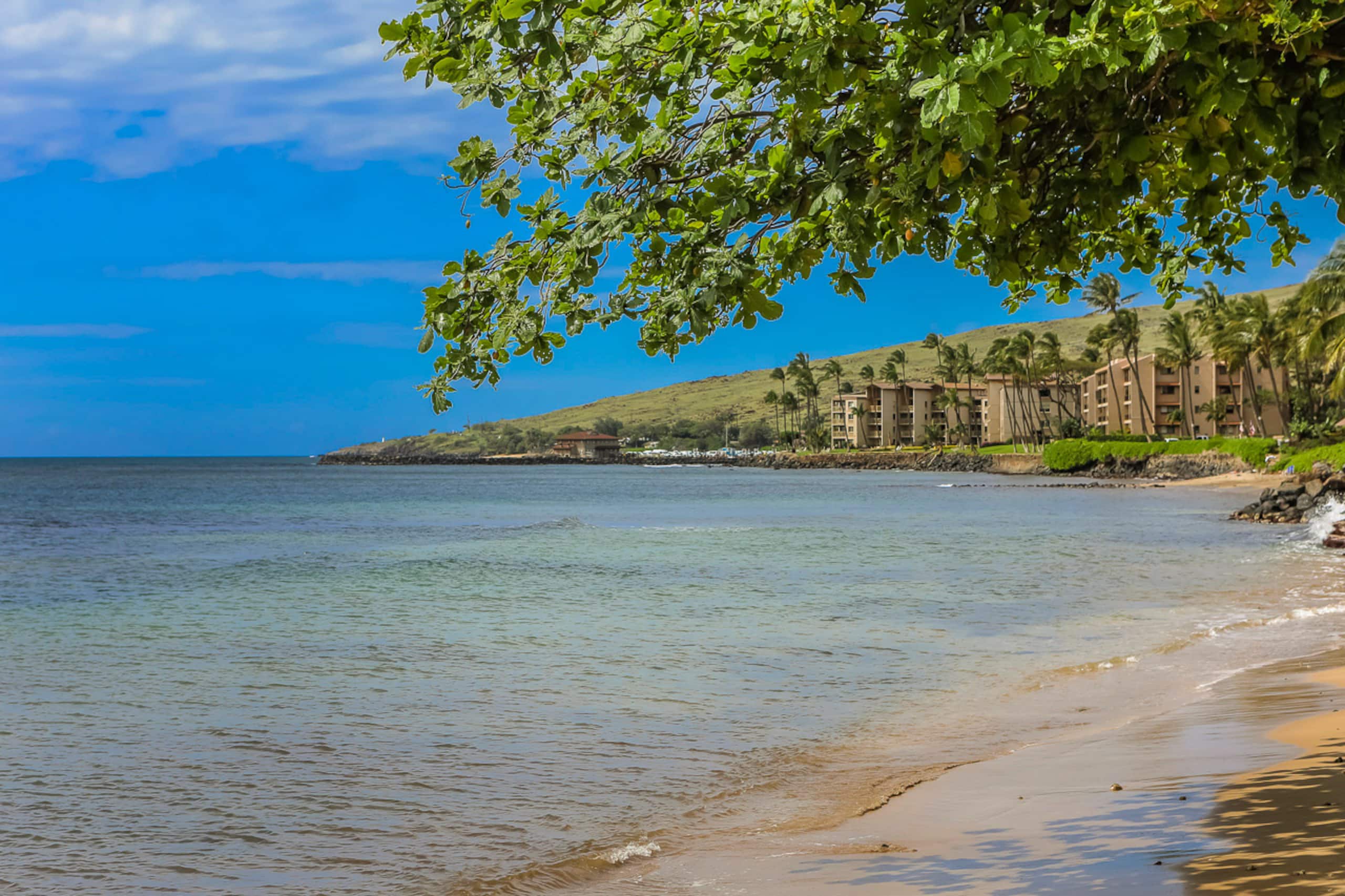 Condo in Wailuku · ★4.9 · 2 bedrooms · 4 beds · 2 shared baths - Image 39