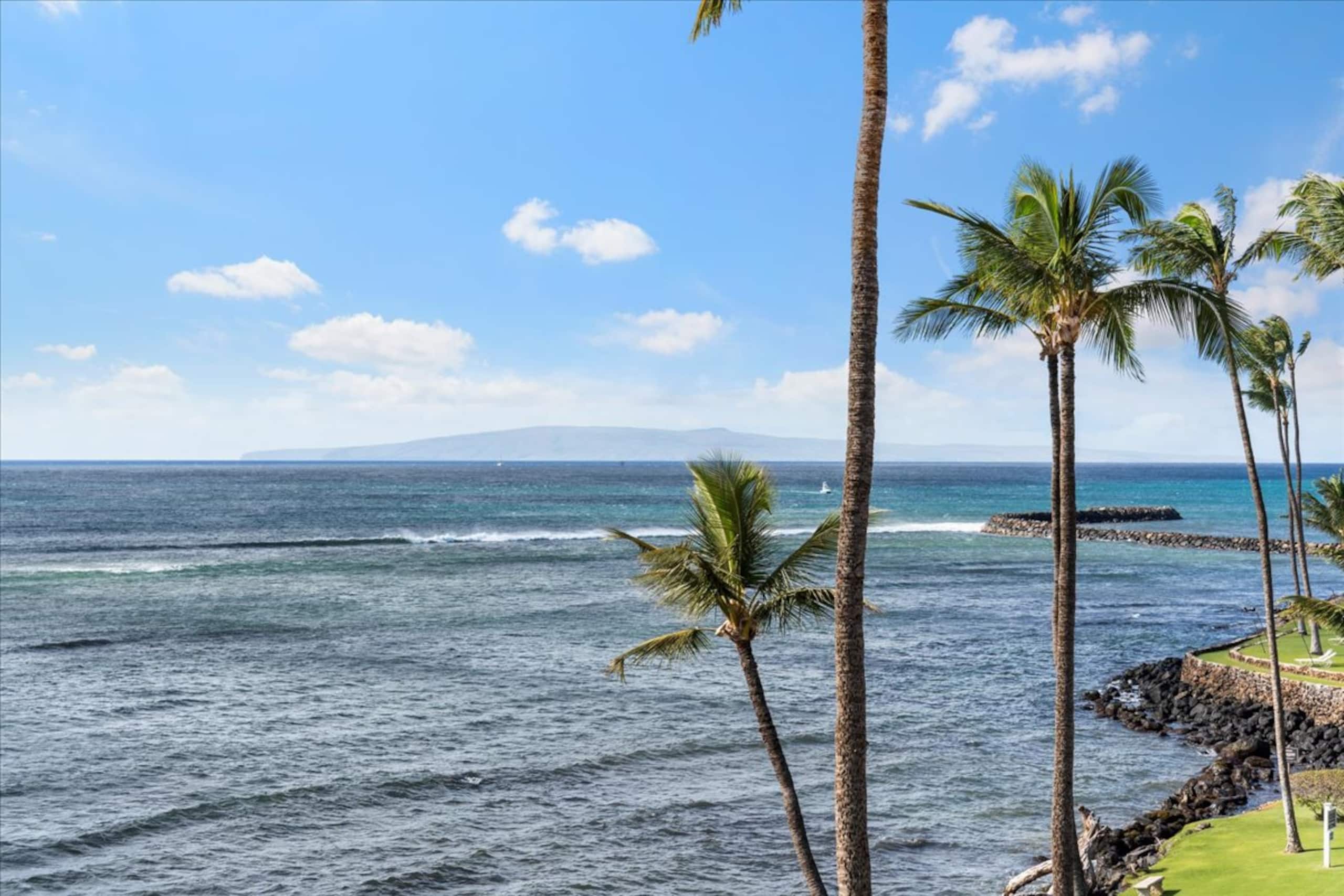 Condo in Wailuku · ★4.9 · 2 bedrooms · 4 beds · 2 shared baths - Image 11
