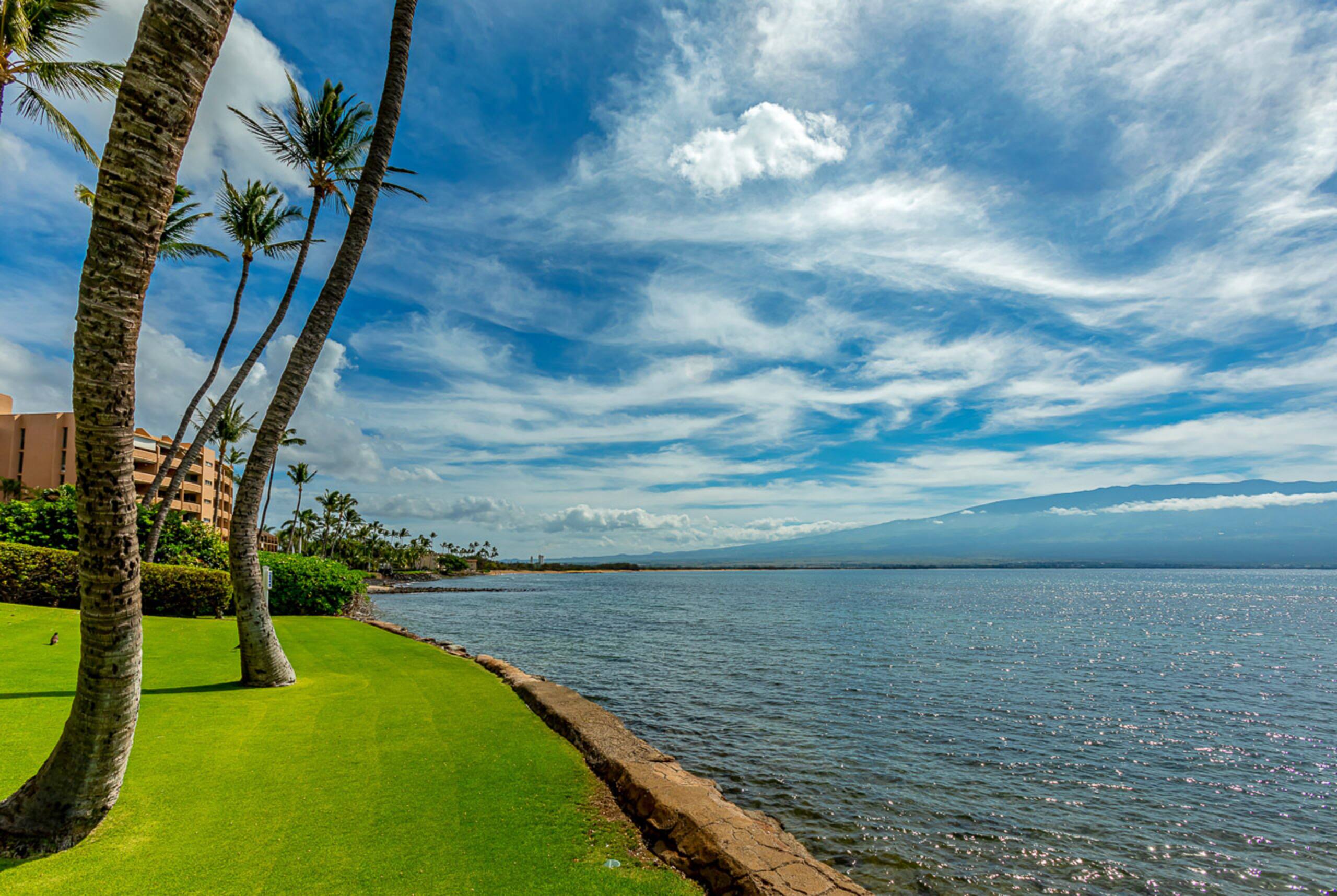 Condo in Wailuku · ★4.9 · 2 bedrooms · 4 beds · 2 shared baths - Image 47