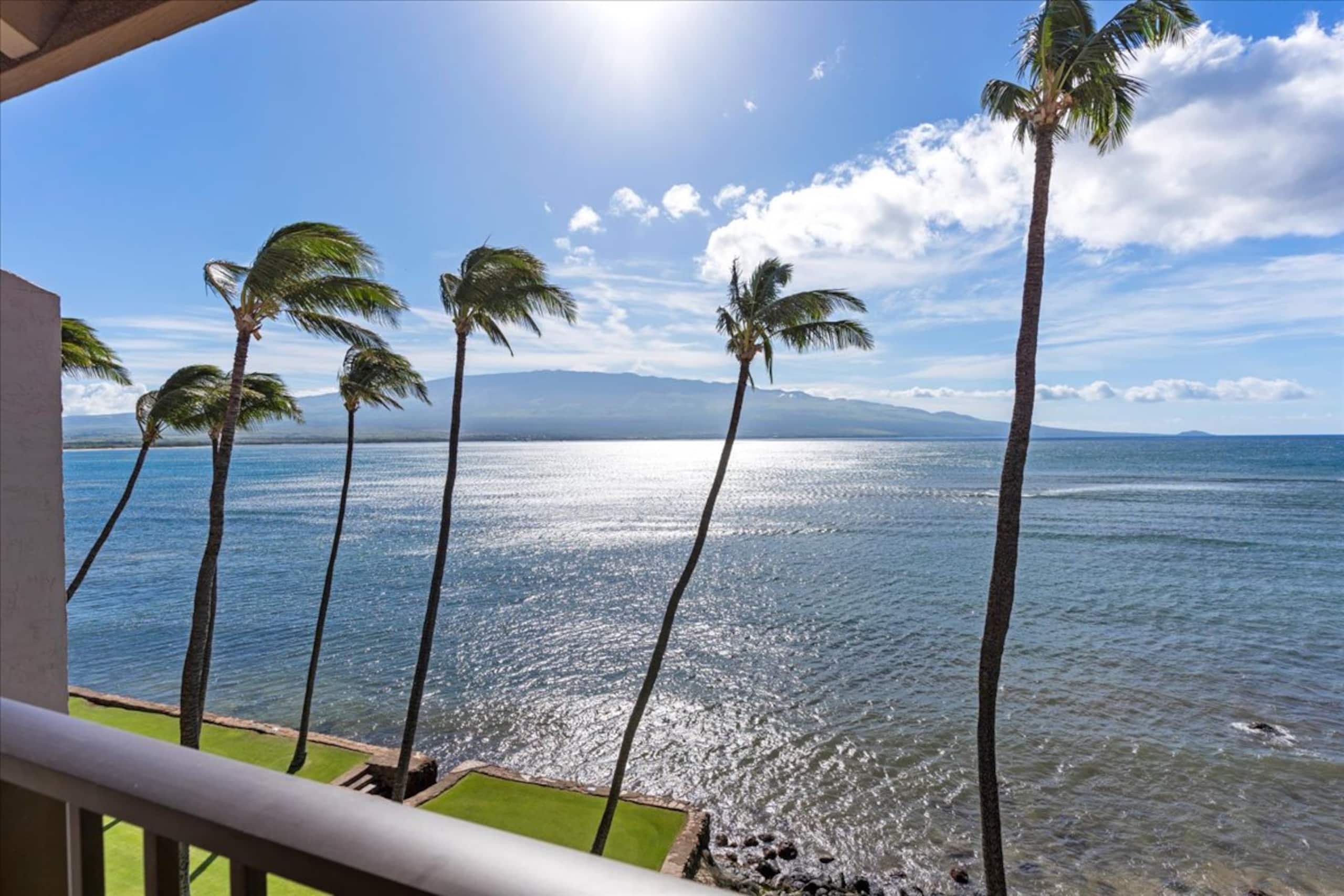 Condo in Wailuku · ★4.9 · 2 bedrooms · 4 beds · 2 shared baths - Image 7