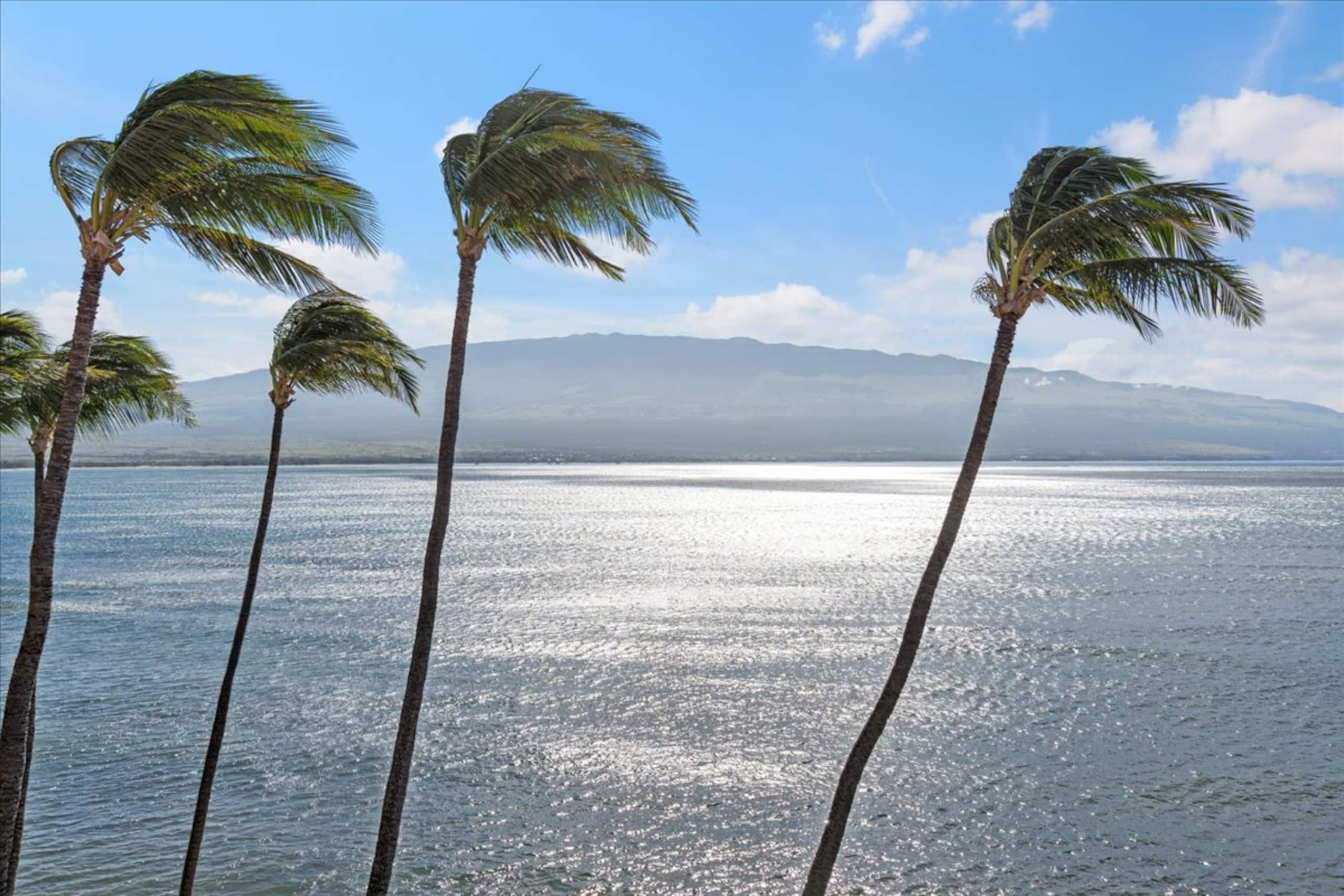 Condo in Wailuku · ★4.9 · 2 bedrooms · 4 beds · 2 shared baths - Image 10