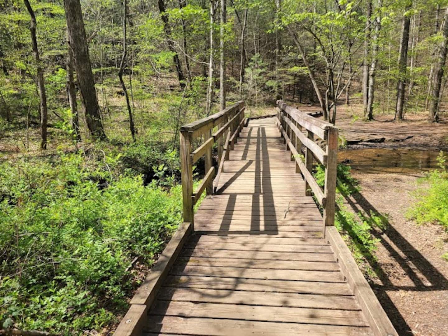 Take an easy morning walk along Bent Creek's footbridge trails if you want quiet before the day gets going