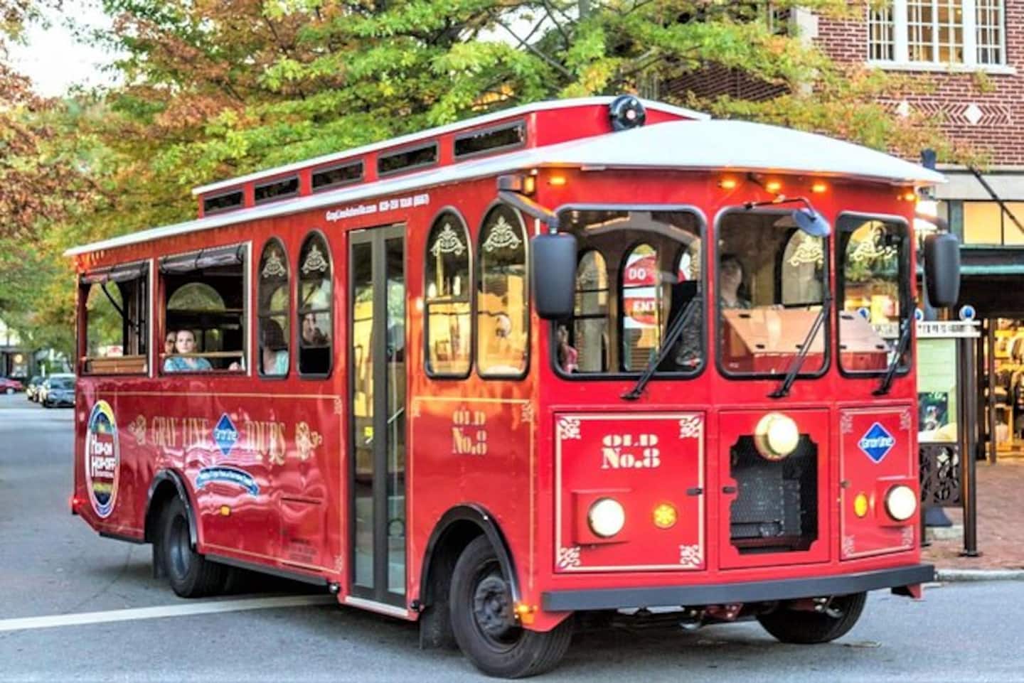 Hop on the trolley downtown and let someone else drive you past Asheville's history for a change