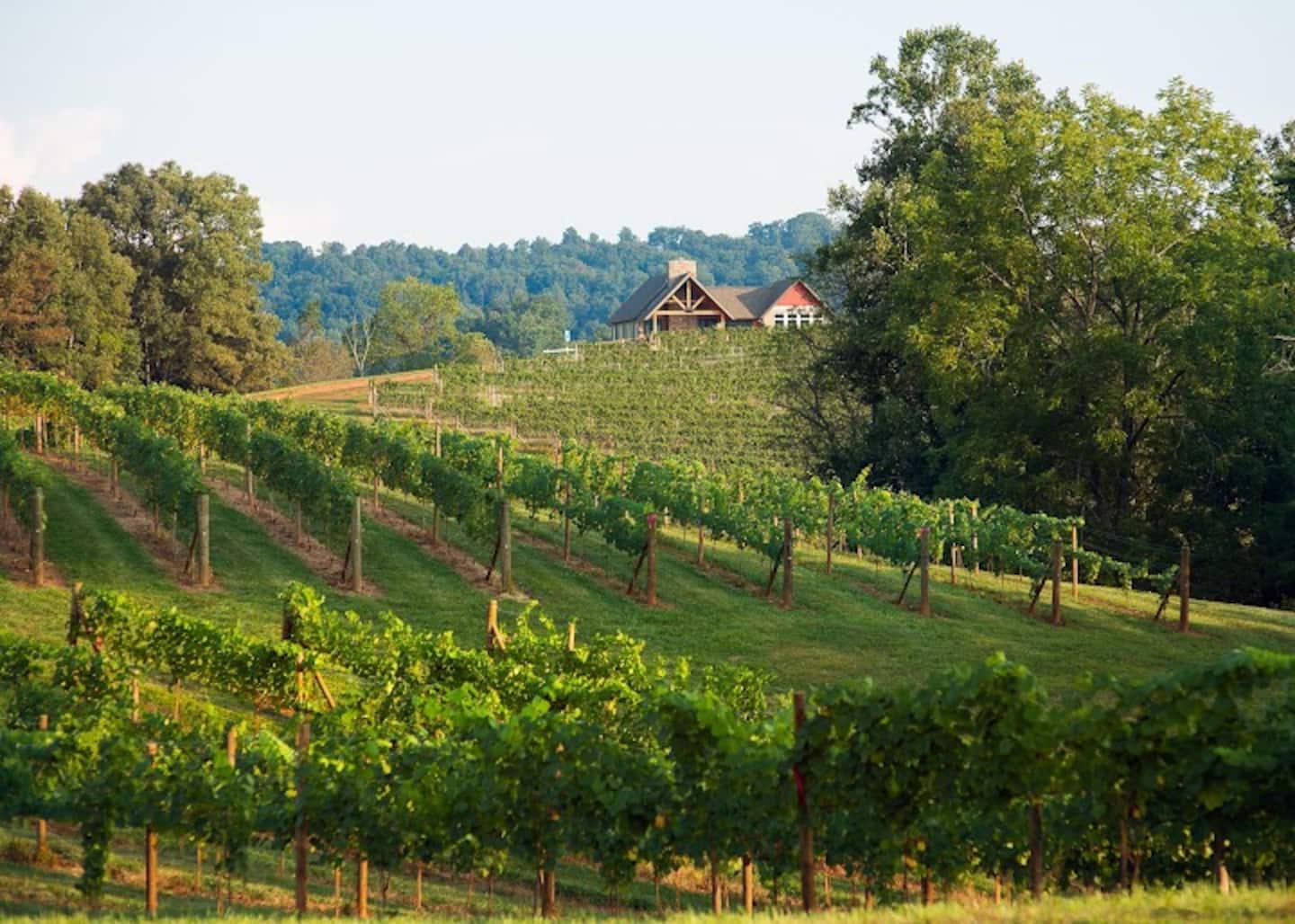 Ten minutes down the road, you can sit down at a local vineyard for a lazy afternoon of tastings before you're even back for