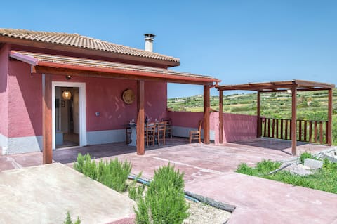 The Valley of Olive Trees