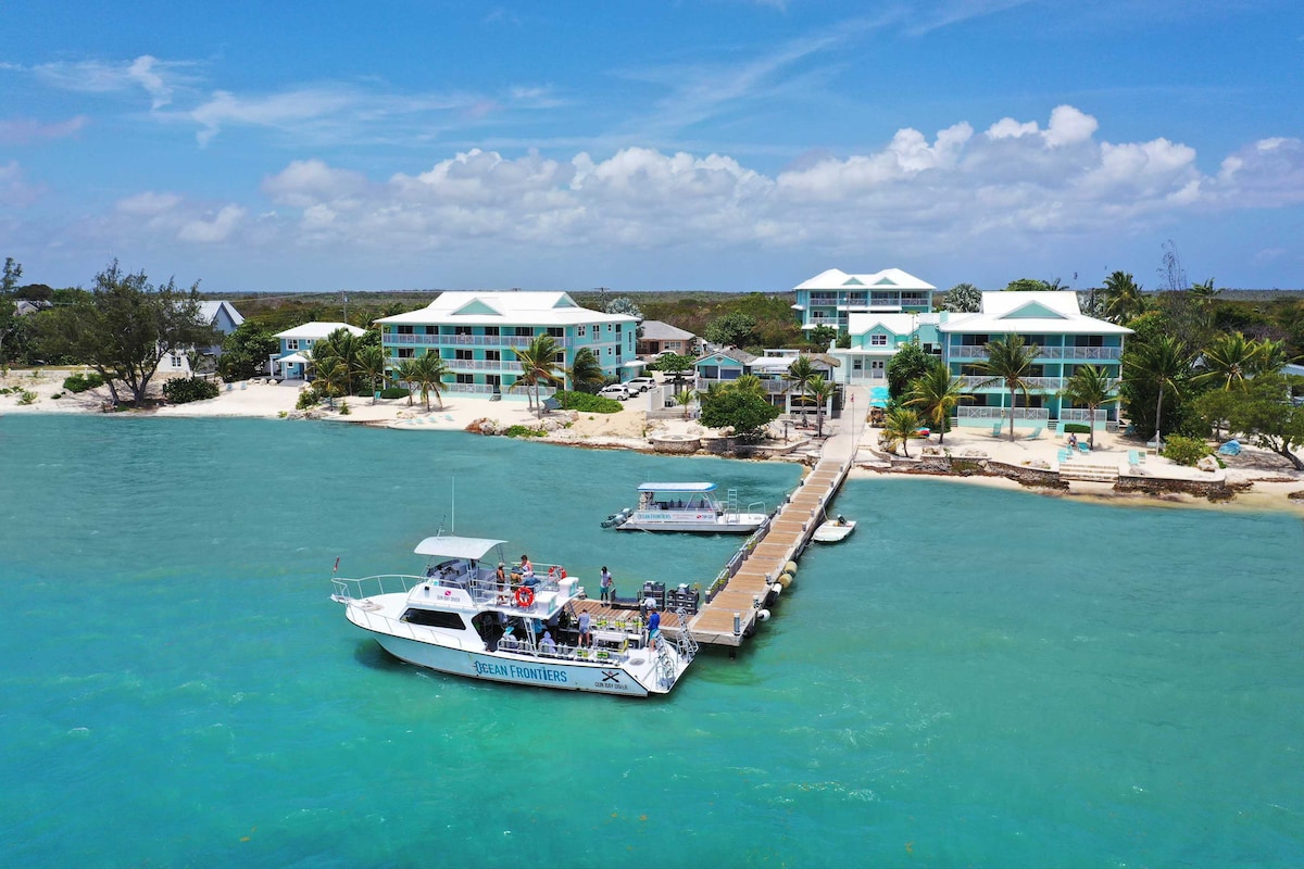 An aerial view showcases nearby Ocean Frontiers and the tranquil surroundings, with a dock featuring a vessel preparing for excursions. The clear turquoise waters contrast against the sandy beach lined with palms and nearby buildings, creating a serene coastal atmosphere.