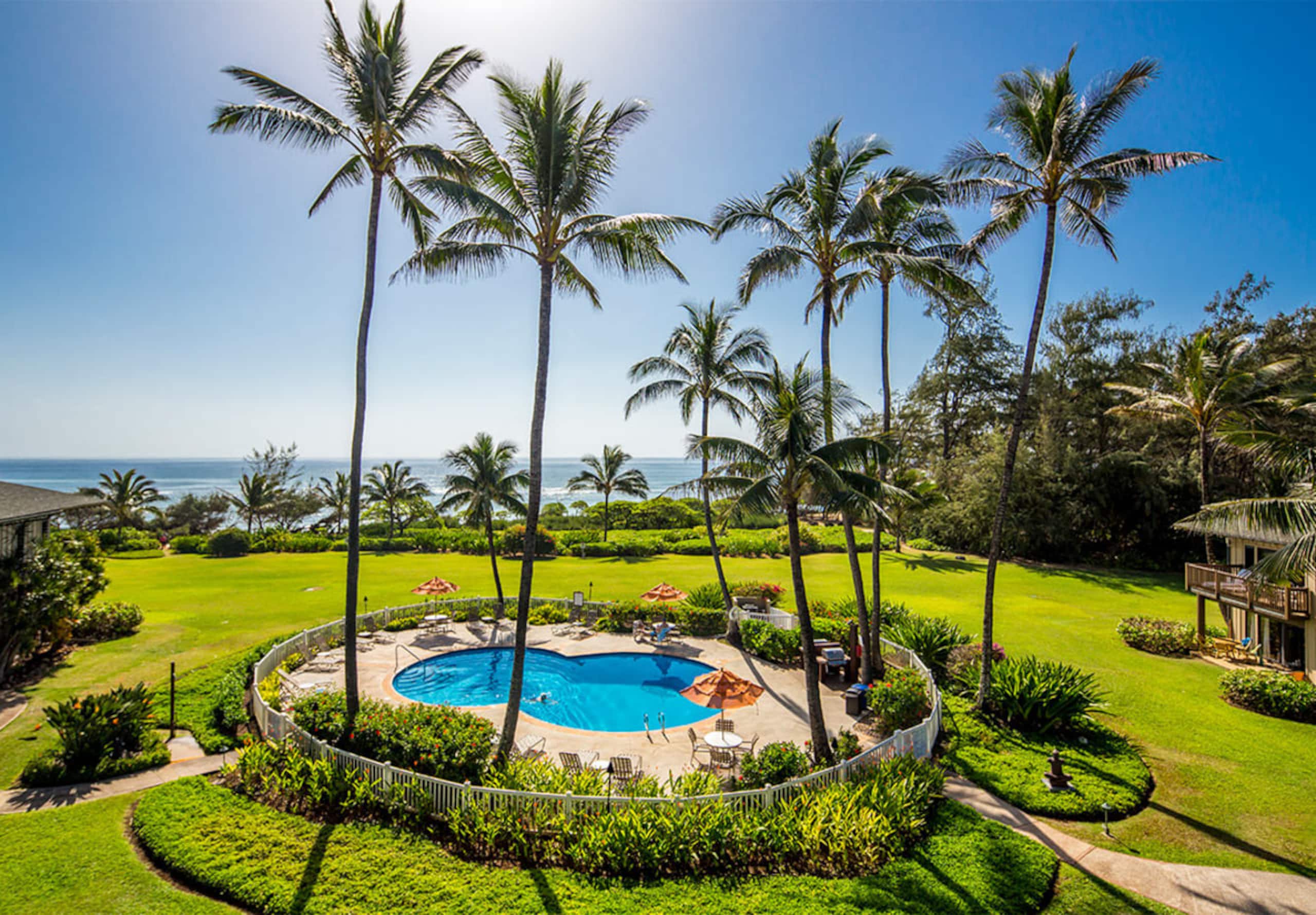 Condo in Lihue · ★4.86 · 1 bedroom · 1 bed · 1 bath - Image 25