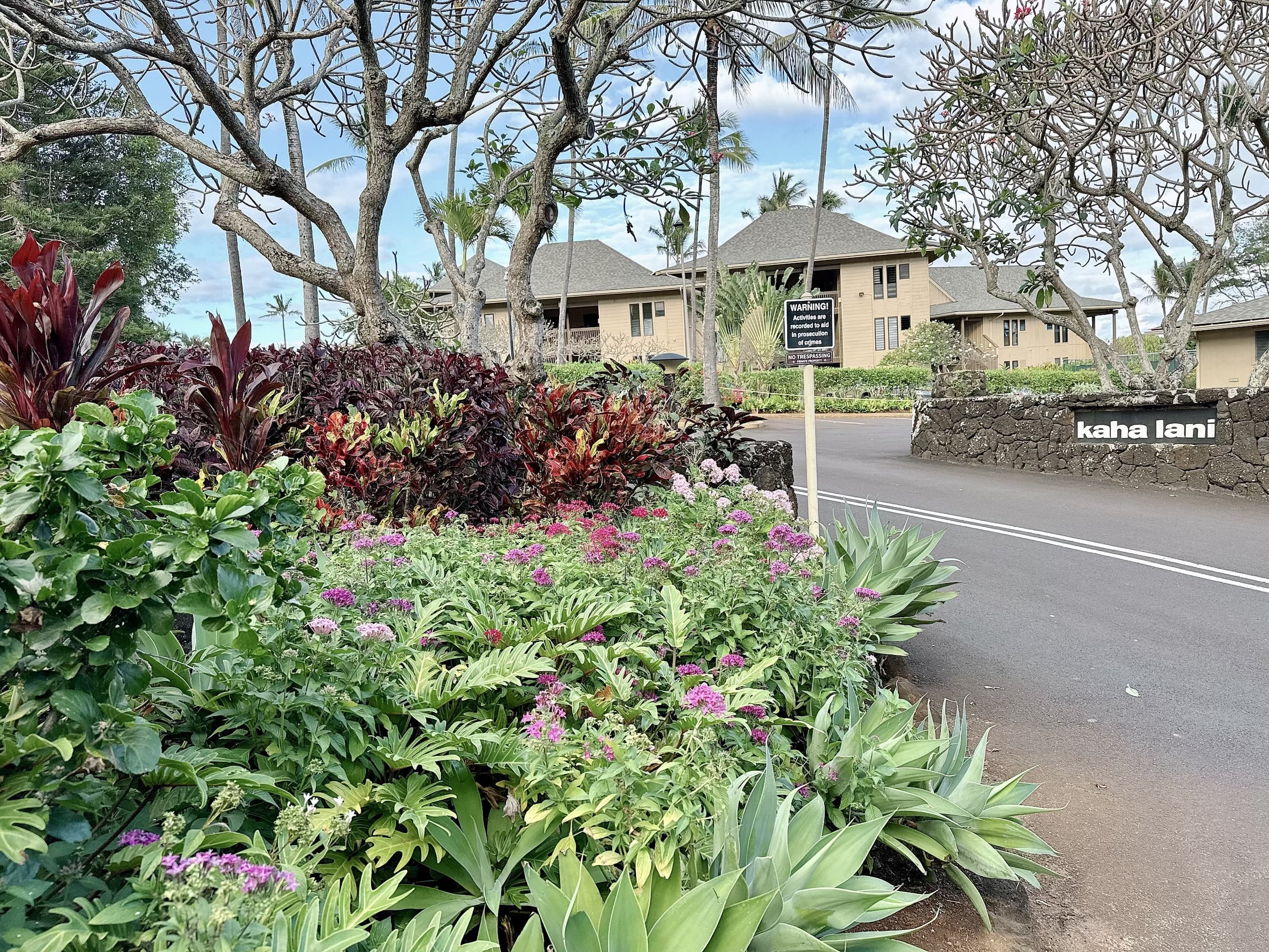 Condo in Lihue · ★4.86 · 1 bedroom · 1 bed · 1 bath - Image 40