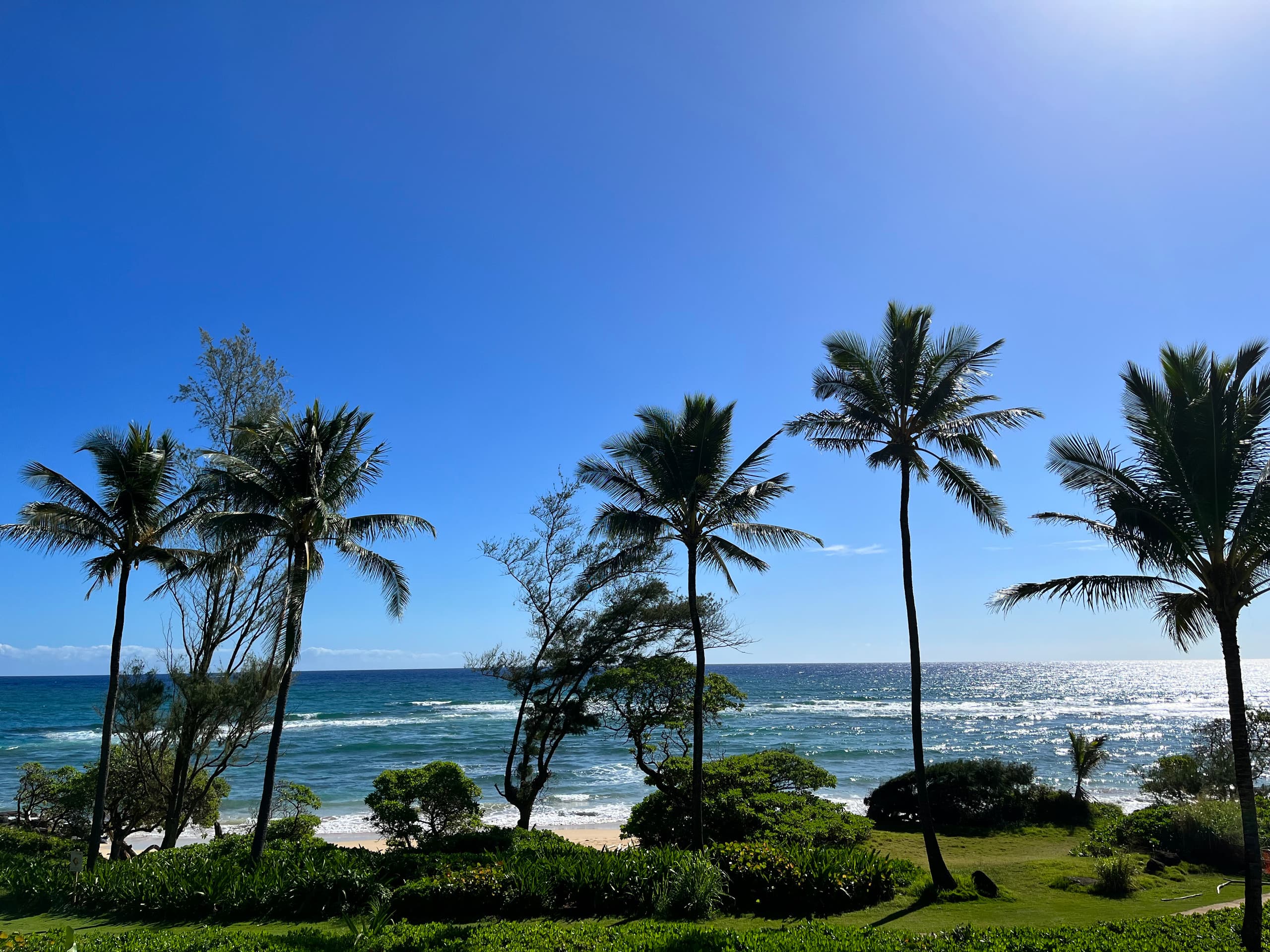 Condo in Lihue · ★4.86 · 1 bedroom · 1 bed · 1 bath - Image 23