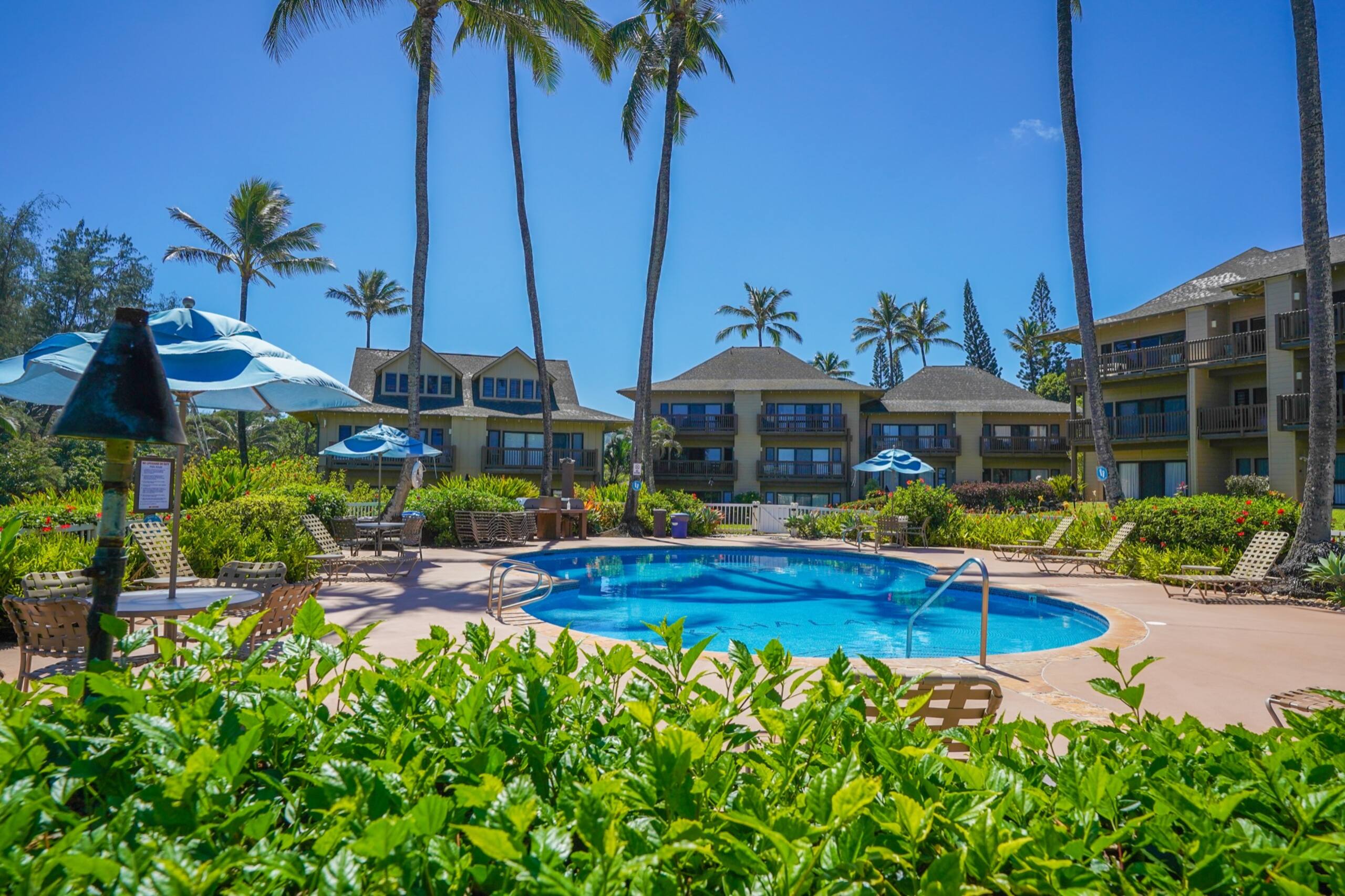 Condo in Lihue · ★4.86 · 1 bedroom · 1 bed · 1 bath - Image 28