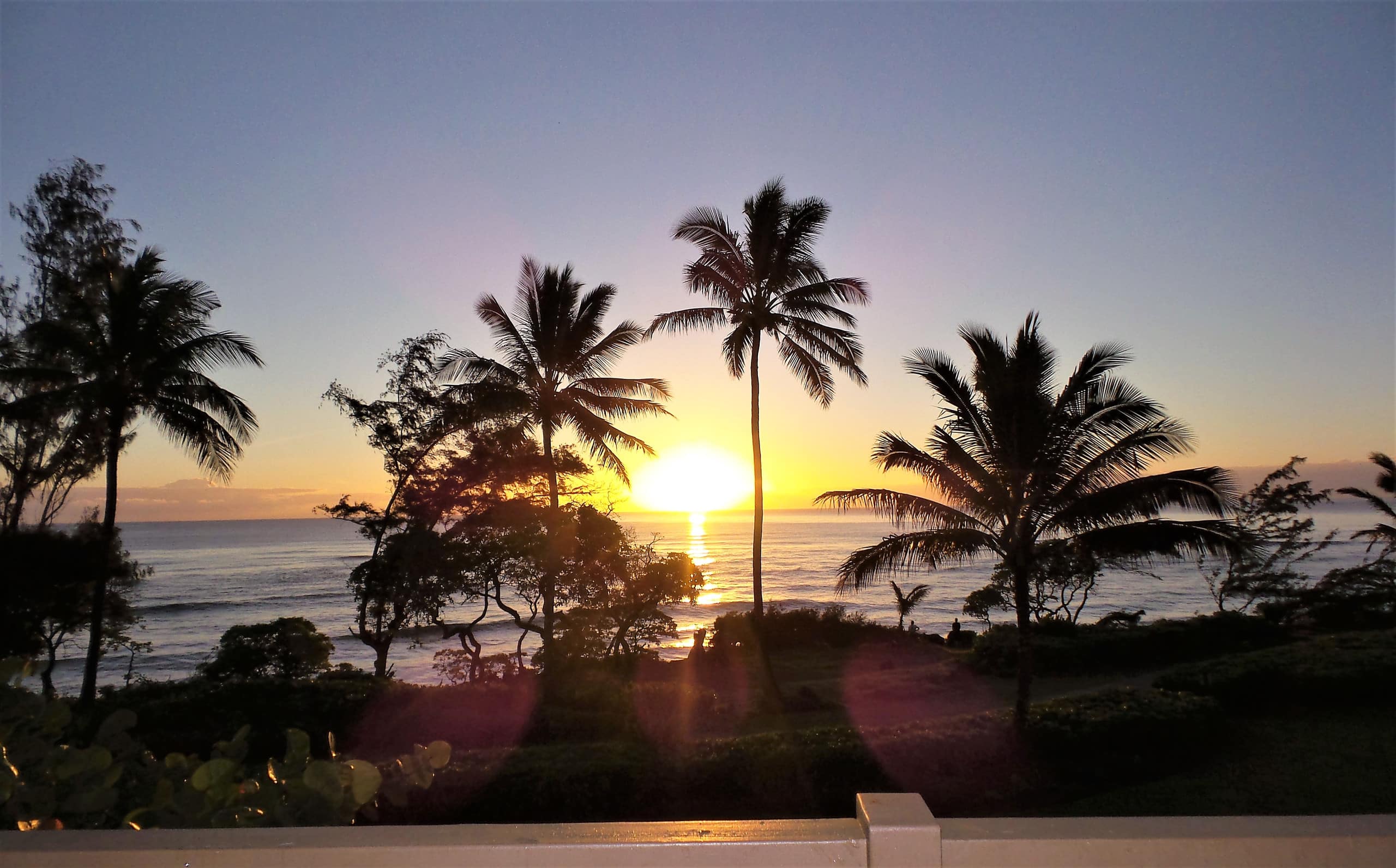 Condo in Lihue · ★4.86 · 1 bedroom · 1 bed · 1 bath - Image 22