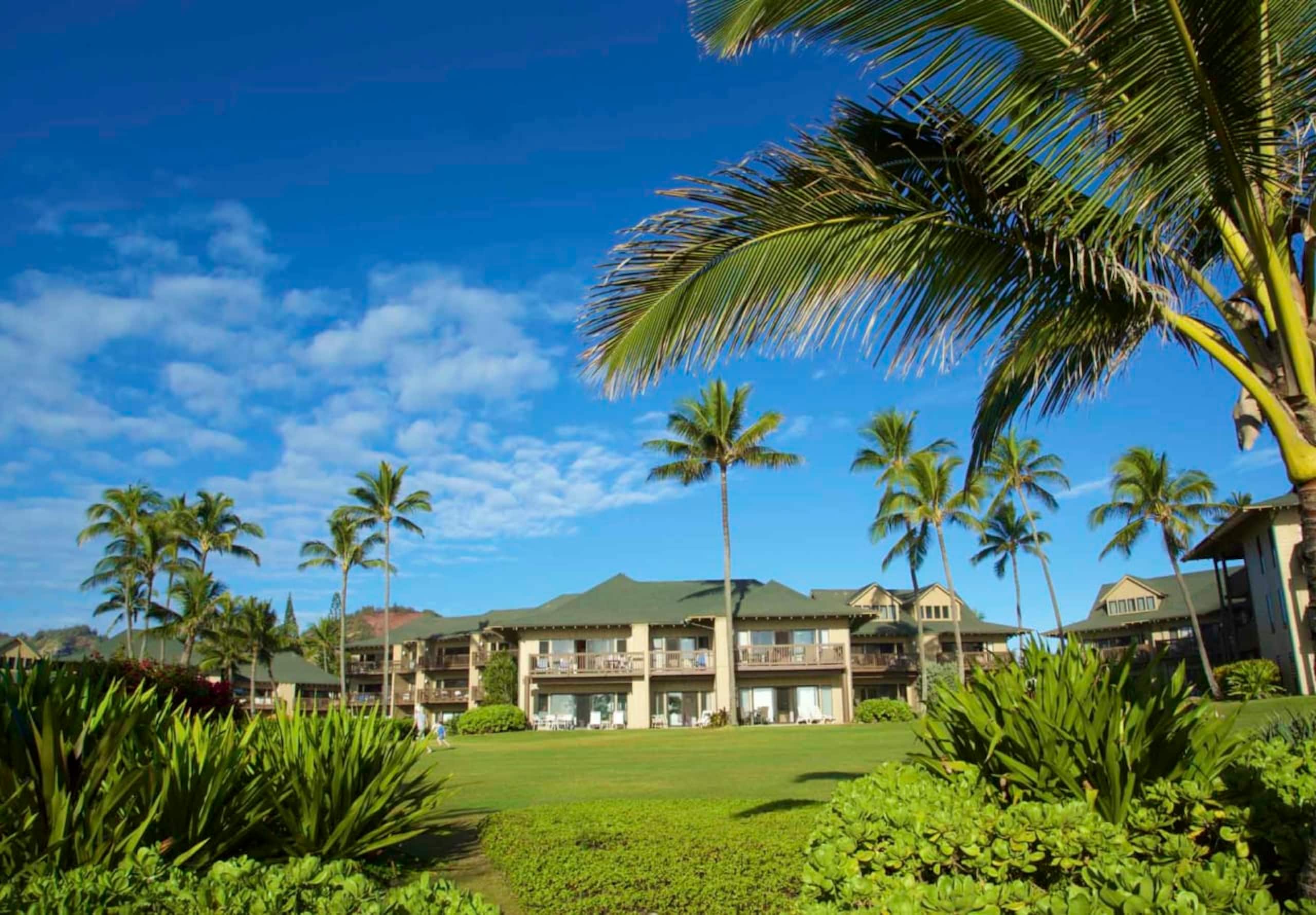 Condo in Lihue · ★4.86 · 1 bedroom · 1 bed · 1 bath - Image 38