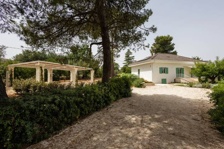 WePuglia – Dimora Montaltino gallery image 2