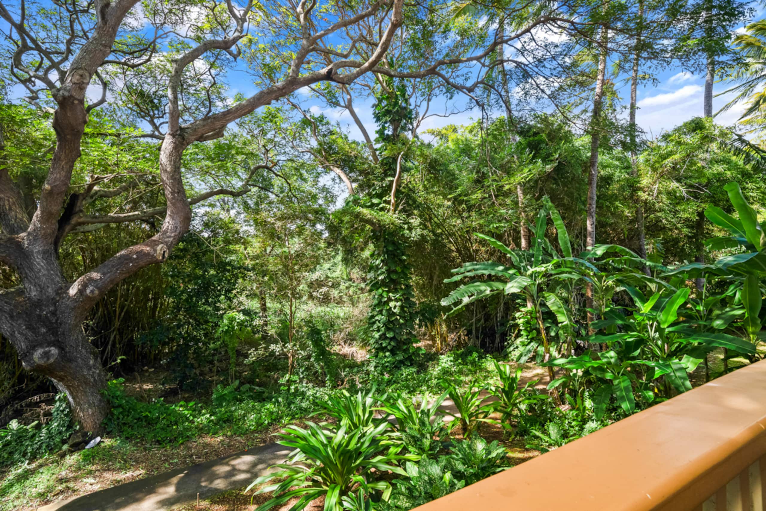 Condo in Koloa · ★4.89 · 1 bedroom · 1 bed · 1 bath - Image 18