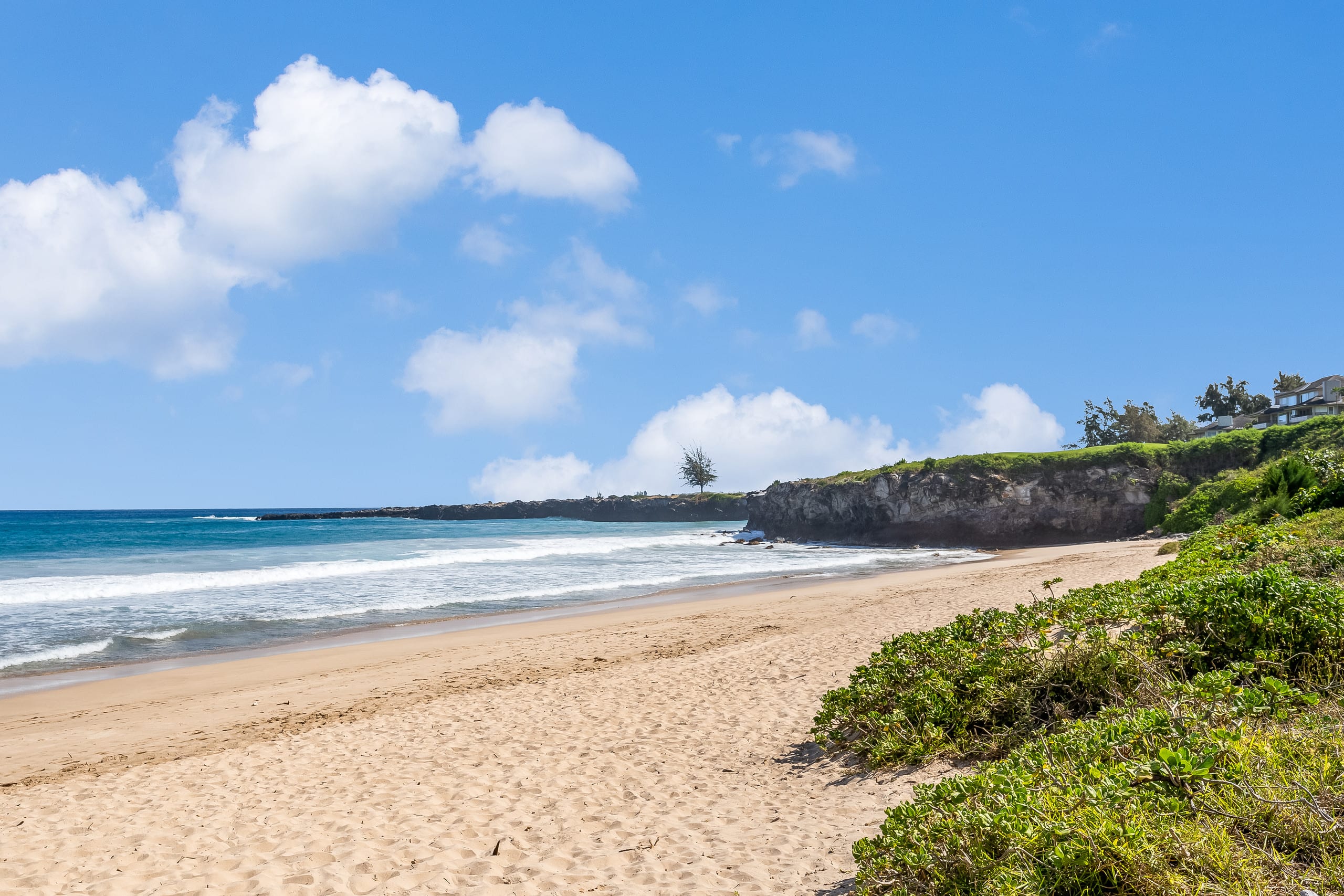 Condo in Lahaina · ★4.82 · 2 bedrooms · 4 beds · 3 baths - Image 53