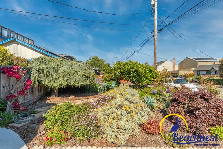 Mitchell’s Cove Beach House gallery image 3