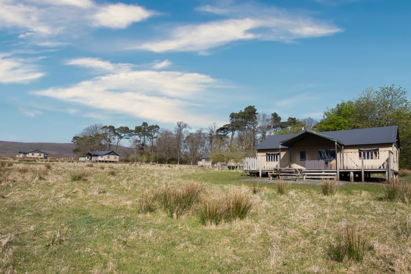 A wide view of the glamping site is displayed, featuring five safari tents set amidst open grassland. The tents are positioned on wooden decks, framed by scattered trees under a clear blue sky, creating a serene outdoor environment.