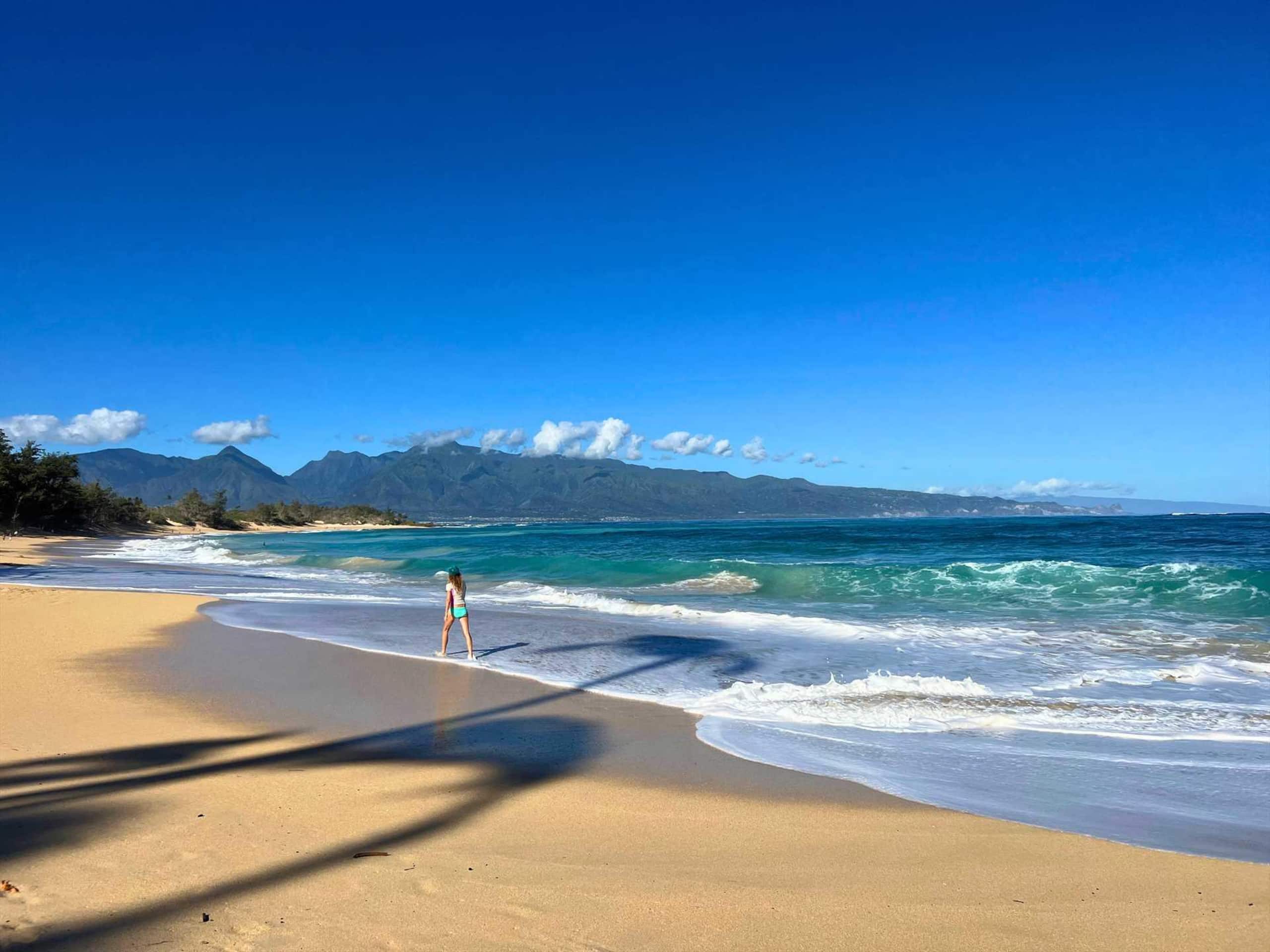 Condo in Wailuku · ★4.74 · 1 bedroom · 2 beds · 1 private bath - Image 31