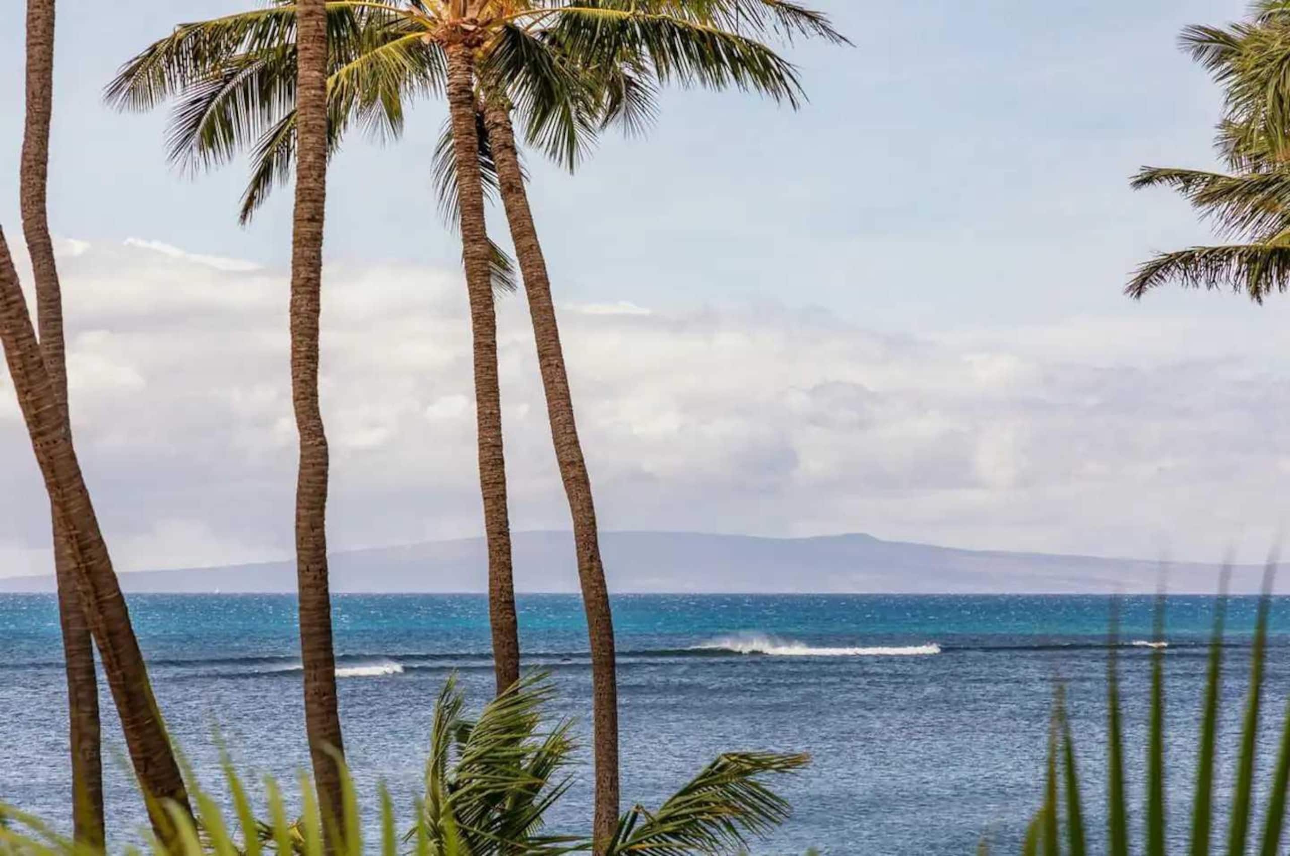 Condo in Wailuku · ★4.74 · 1 bedroom · 2 beds · 1 private bath - Image 27