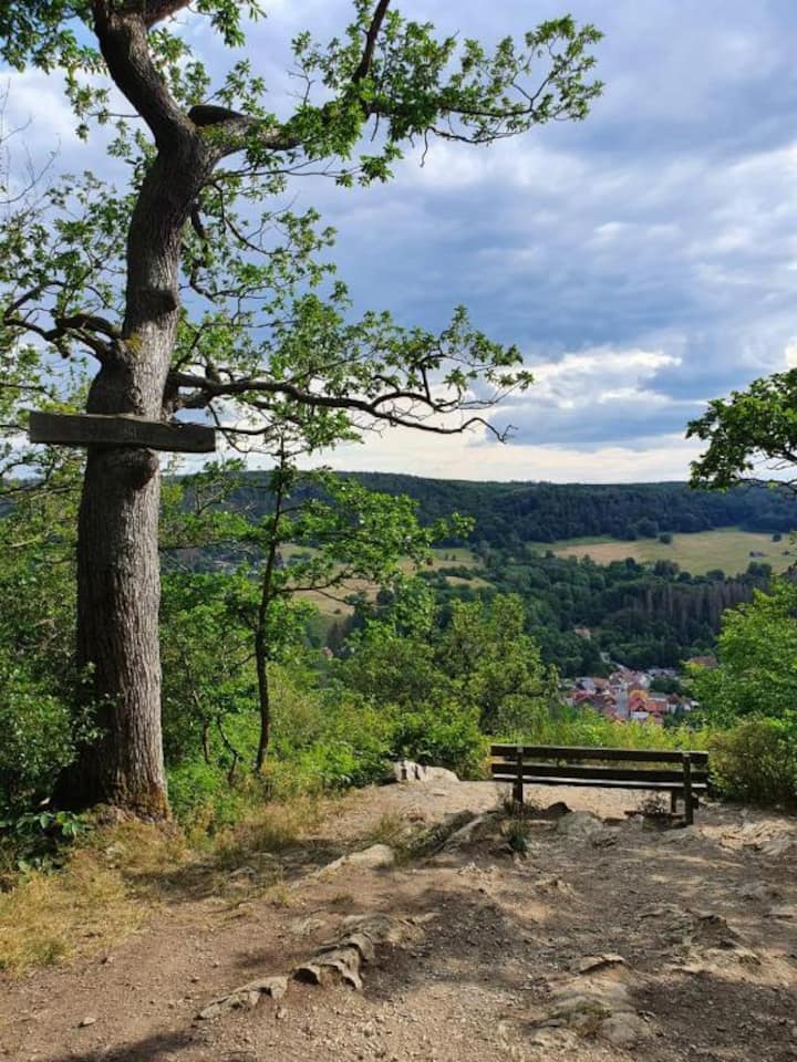 1. obrázok ponuky NOVÉ! Apartmán Harzgeiss so saunou a balkónom