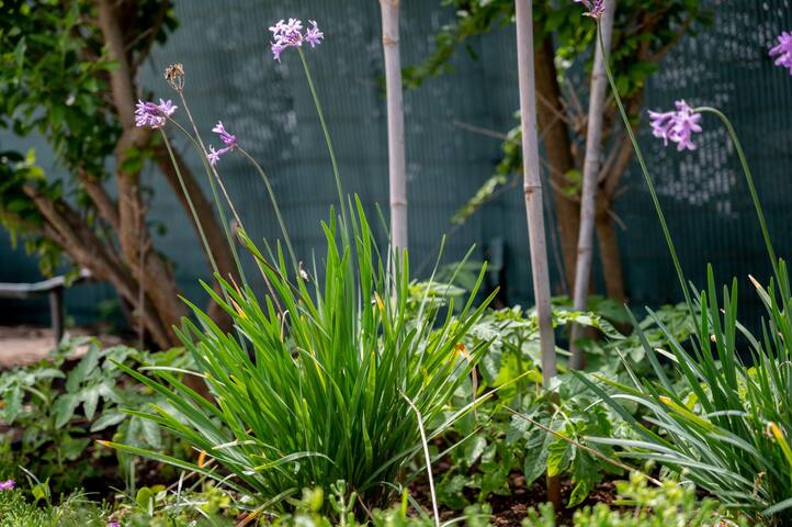 Apartament Vaixell primera planta gallery image 2