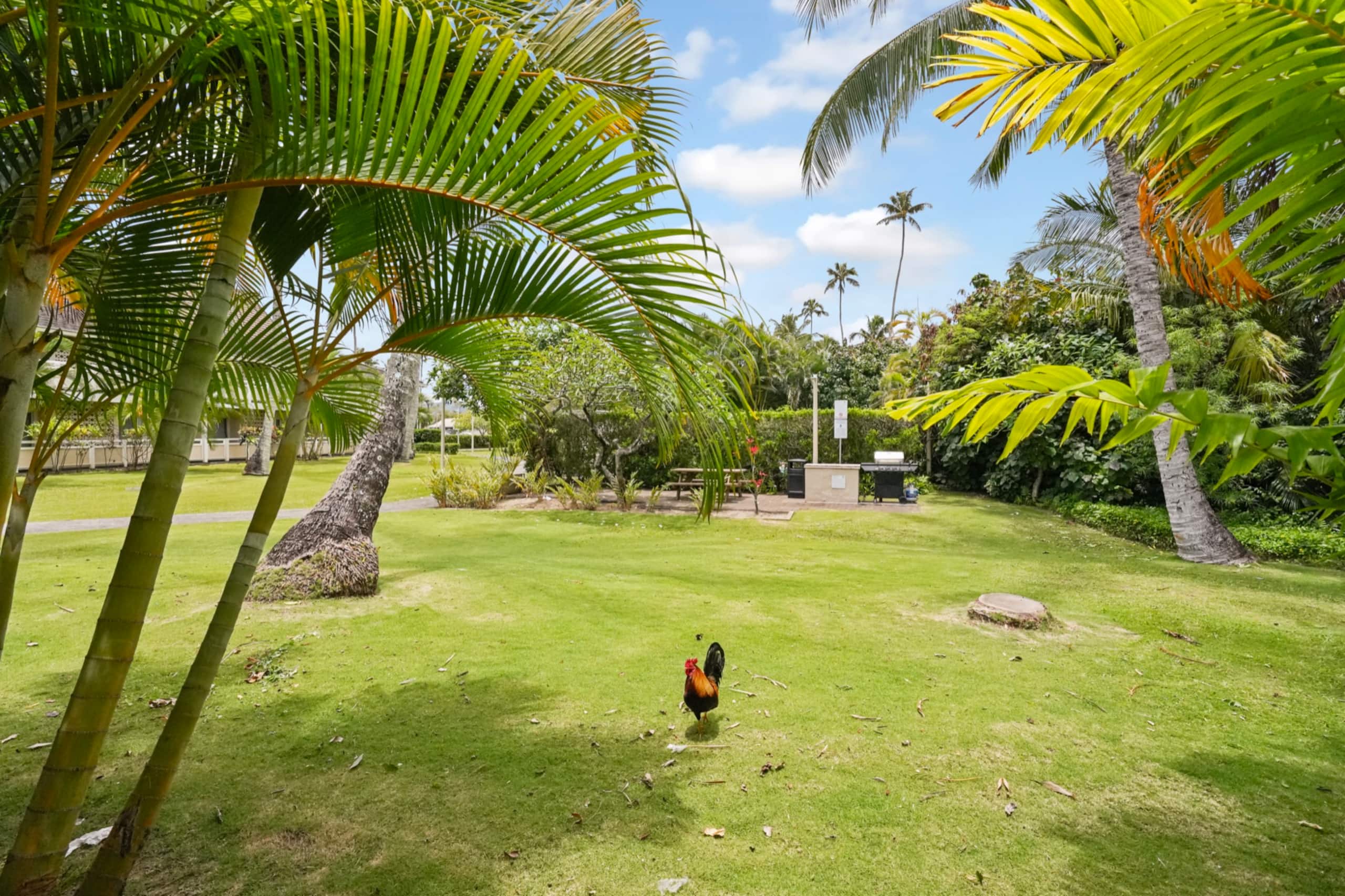 Condo in Kapaa · ★4.79 · 1 bedroom · 2 beds · 1 bath - Image 32