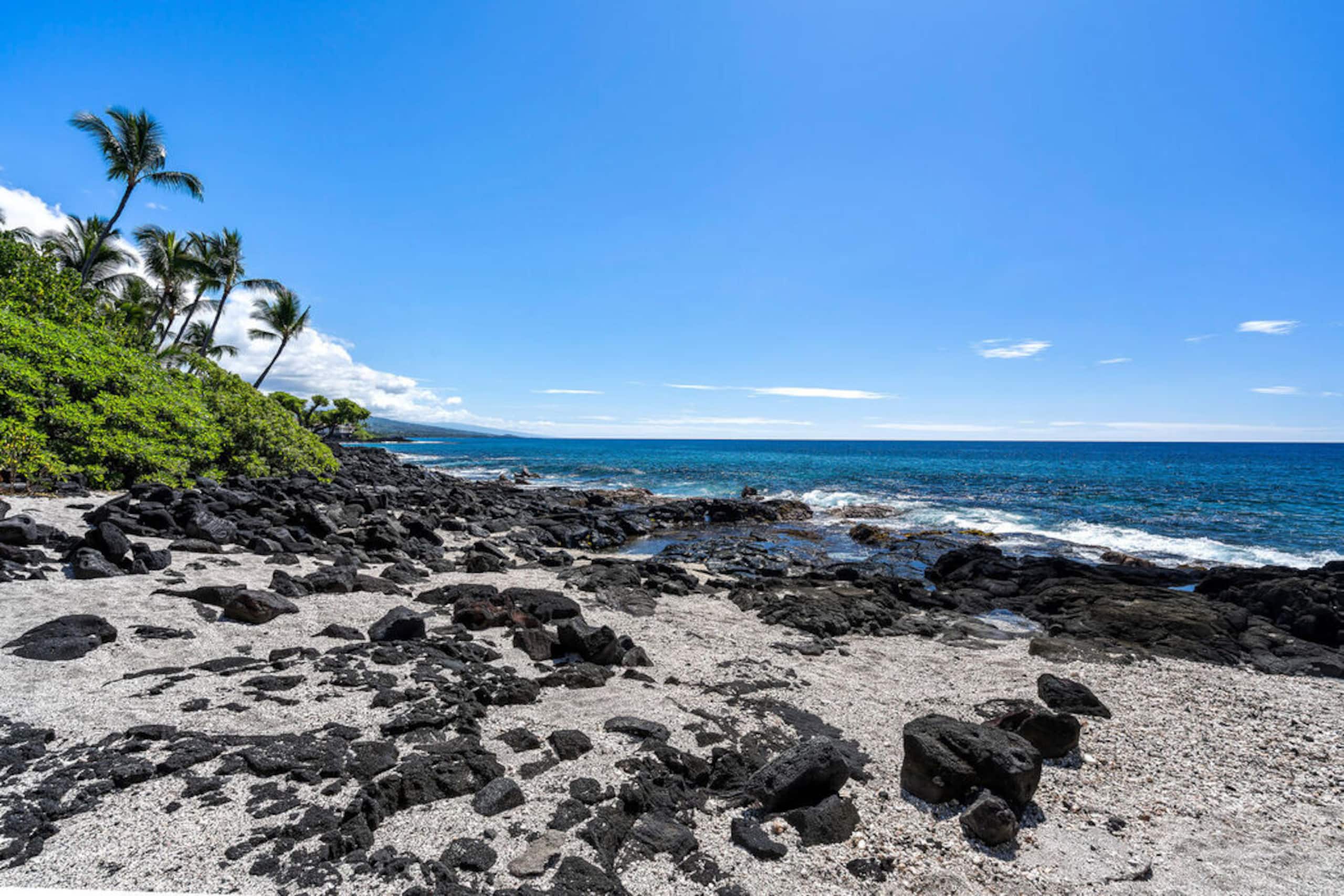 Condo in Kailua-Kona · ★4.67 · 1 bedroom · 2 beds · 1 bath - Image 36