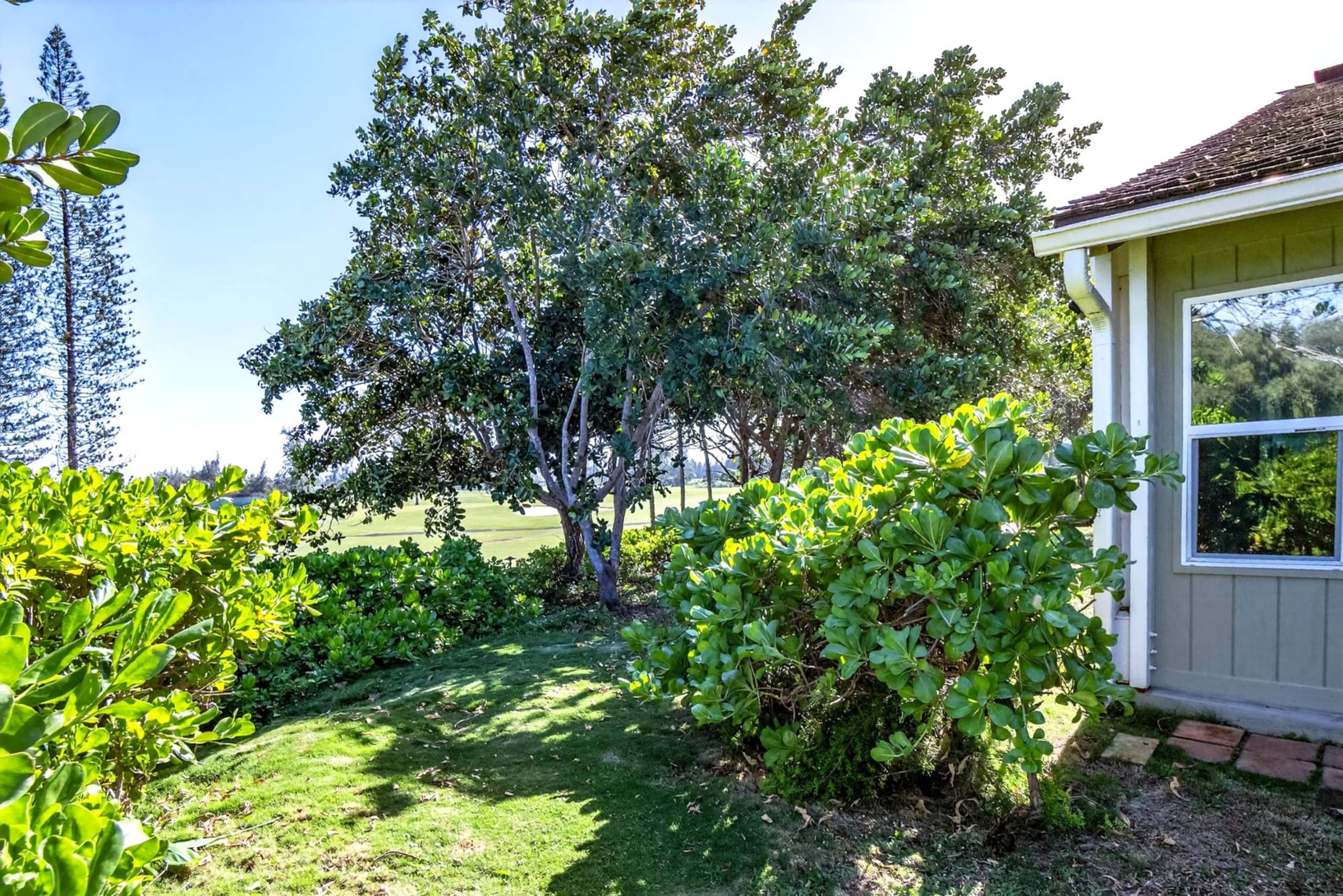 Condo in Kahuku · ★4.53 · 2 bedrooms · 3 beds · 1 private bath - Image 36