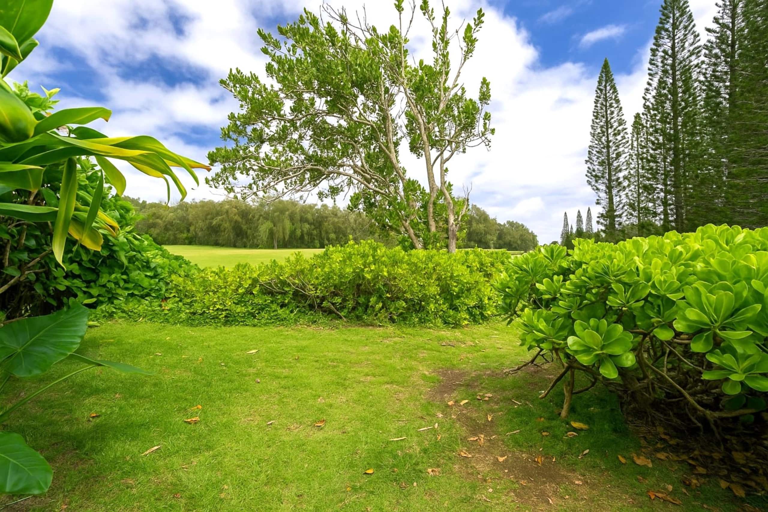 Condo in Kahuku · ★4.53 · 2 bedrooms · 3 beds · 1 private bath - Image 31