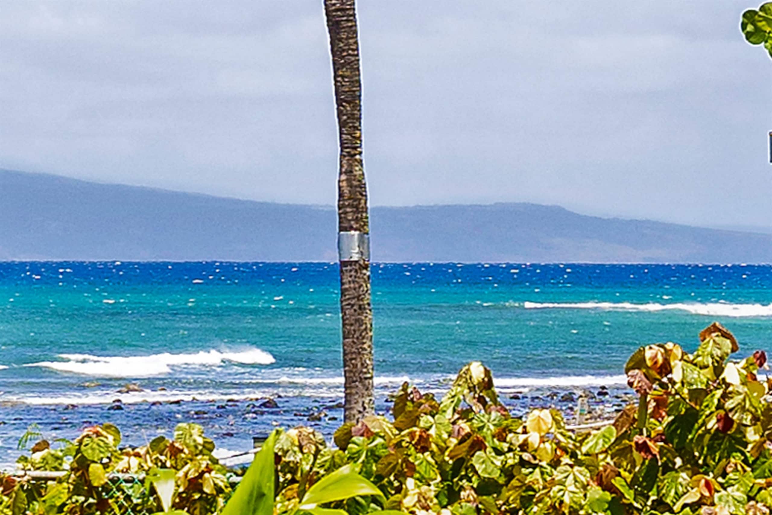 Condo in Lahaina · ★5.0 · 3 bedrooms · 6 beds · 3 baths - Image 49
