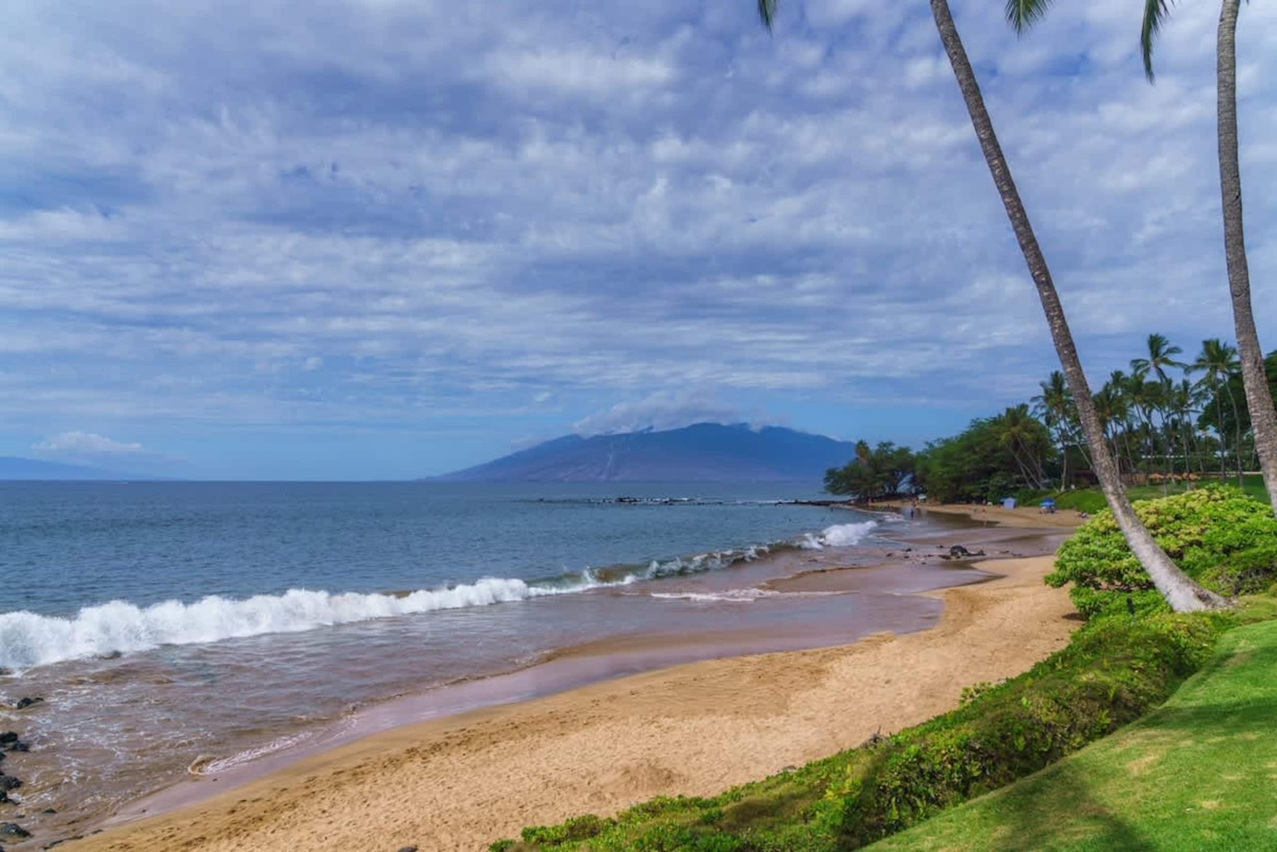 Condo in Wailea · ★5.0 · 2 bedrooms · 4 beds · 2 baths - Image 32