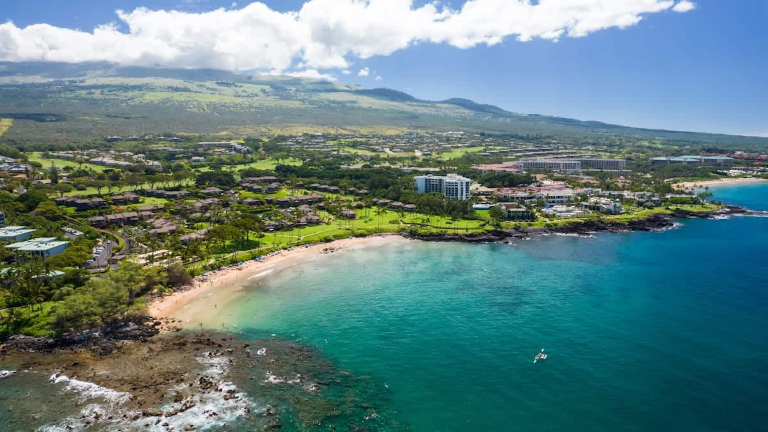 Condo in Wailea · ★5.0 · 2 bedrooms · 4 beds · 2 baths - Image 23