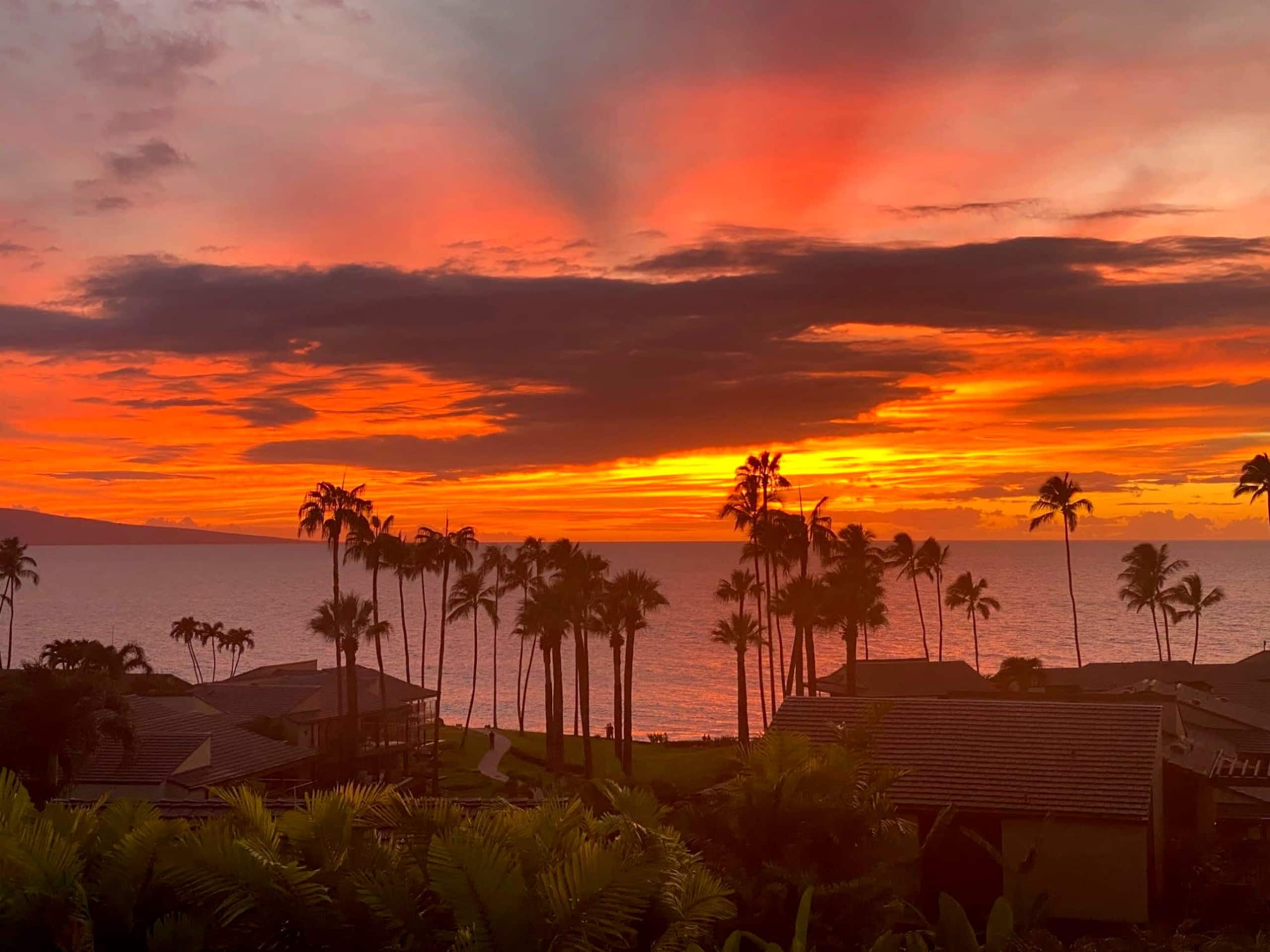 Condo in Wailea · ★5.0 · 2 bedrooms · 4 beds · 2 baths - Image 34