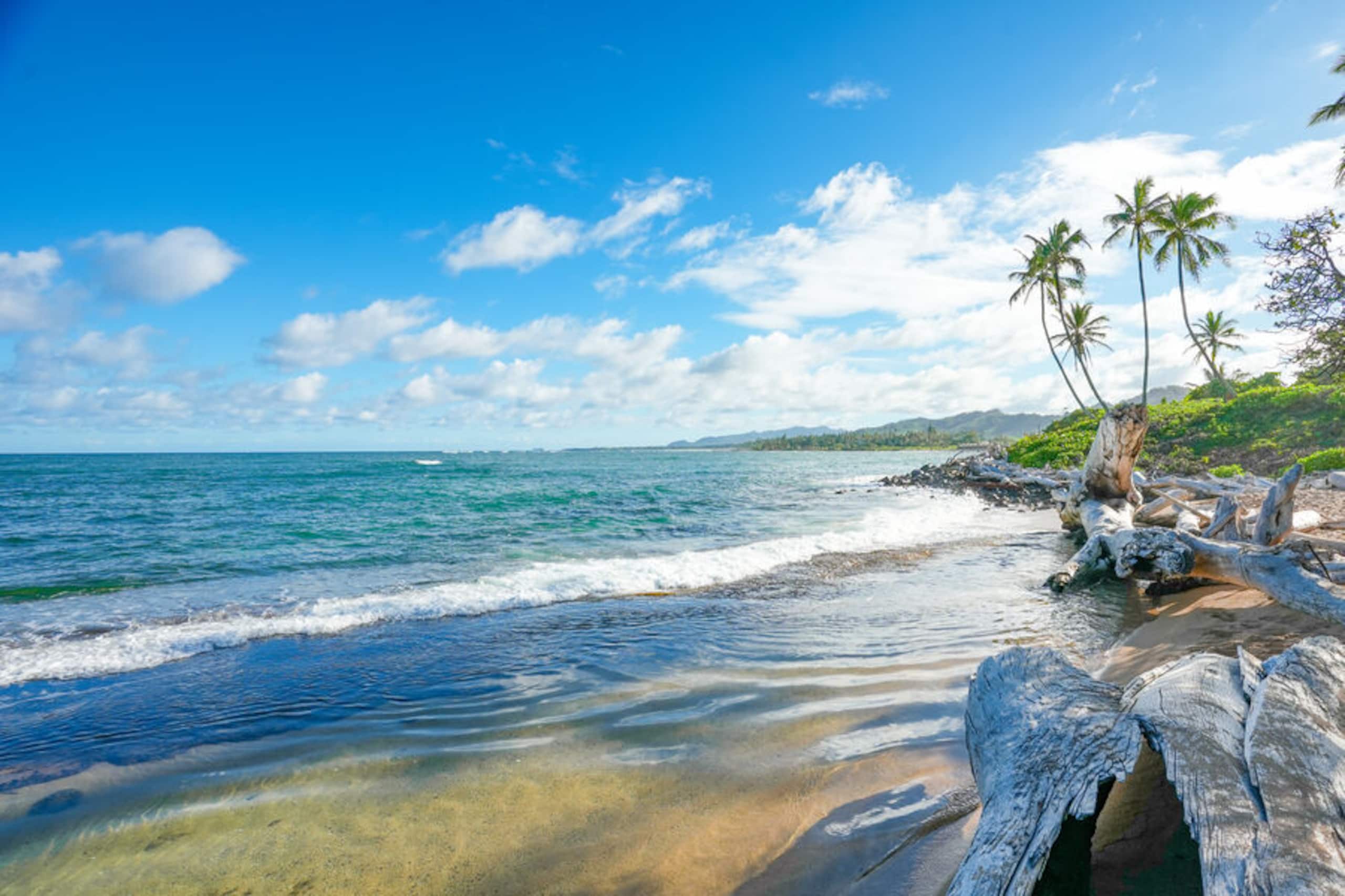 Condo in Kapaa · ★4.33 · 2 bedrooms · 2 beds · 1.5 baths - Image 67